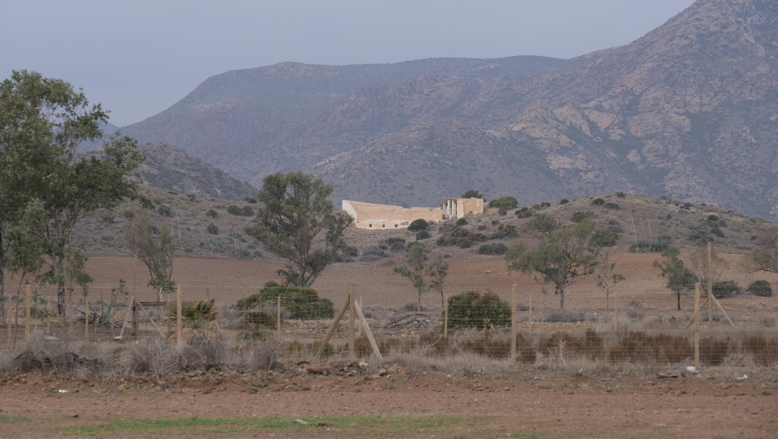 Recorrido por el cortijo El Romeral con 1200 cabras celtibéricas, en imágenes