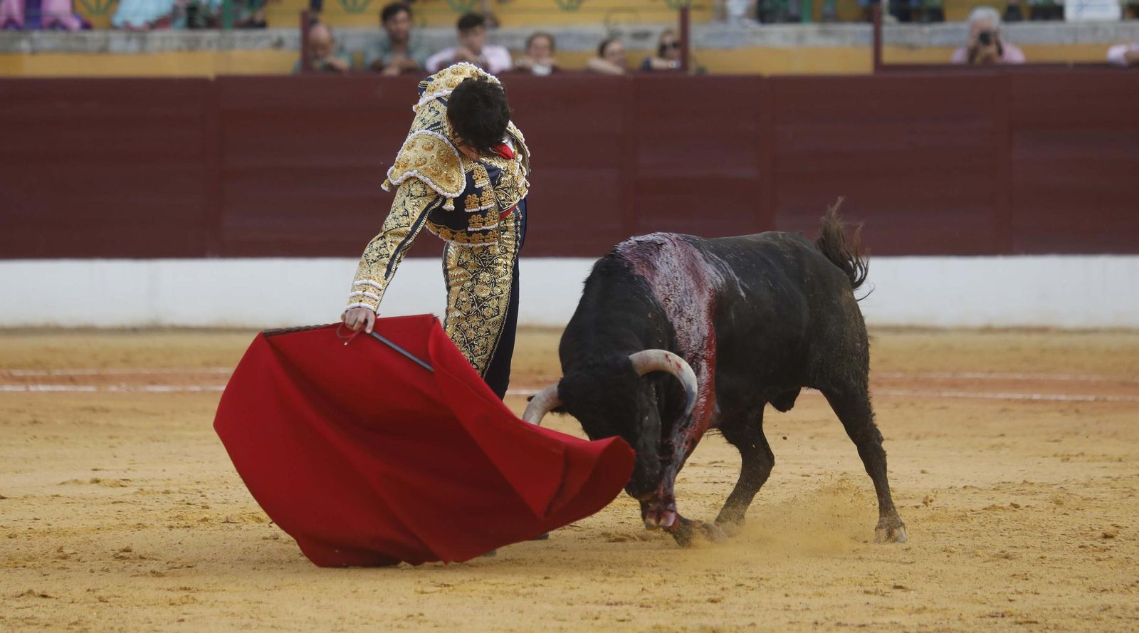 Fotos del triunfo de Manuel Roman y Javier Zulueta con la buena novillada de Núñez de Tarifa que abrió la Feria de La Línea