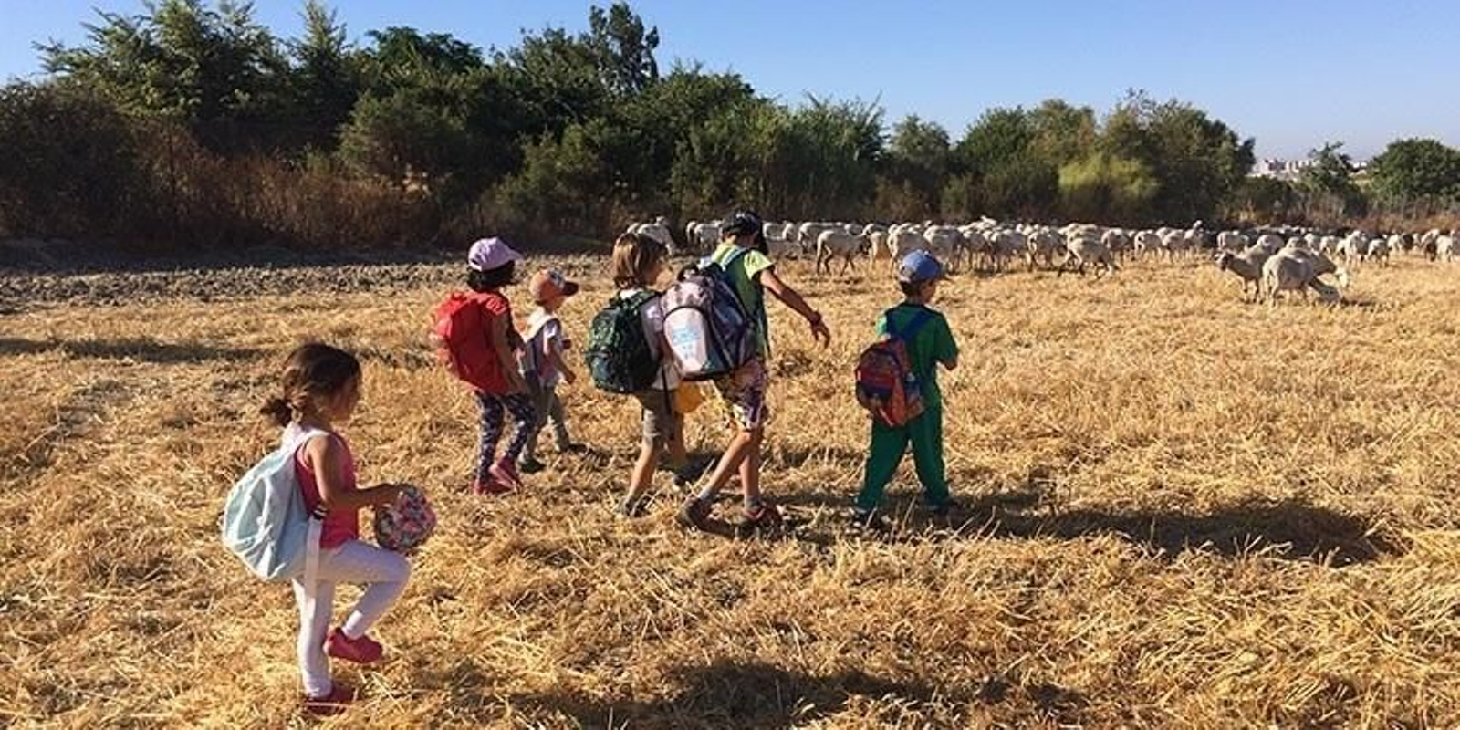 Siete campamentos de verano para niños en Jerez