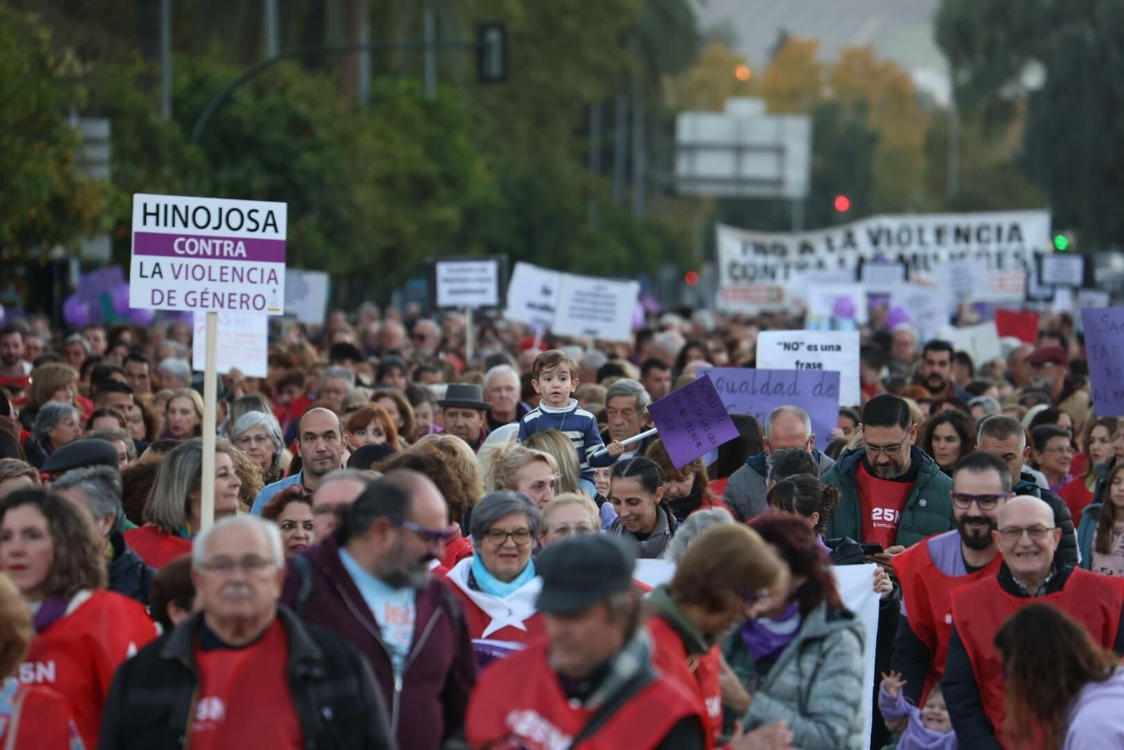La manifestación del 25N en Córdoba, en imágenes