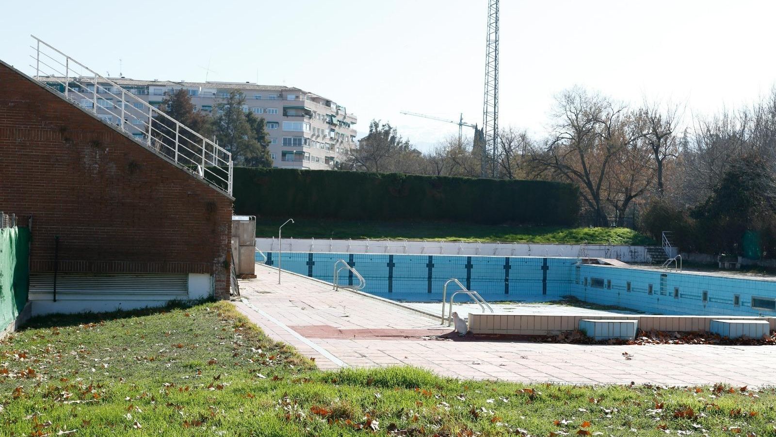 Estado en el que estaba la piscina. Estado en el que estaba la piscina.