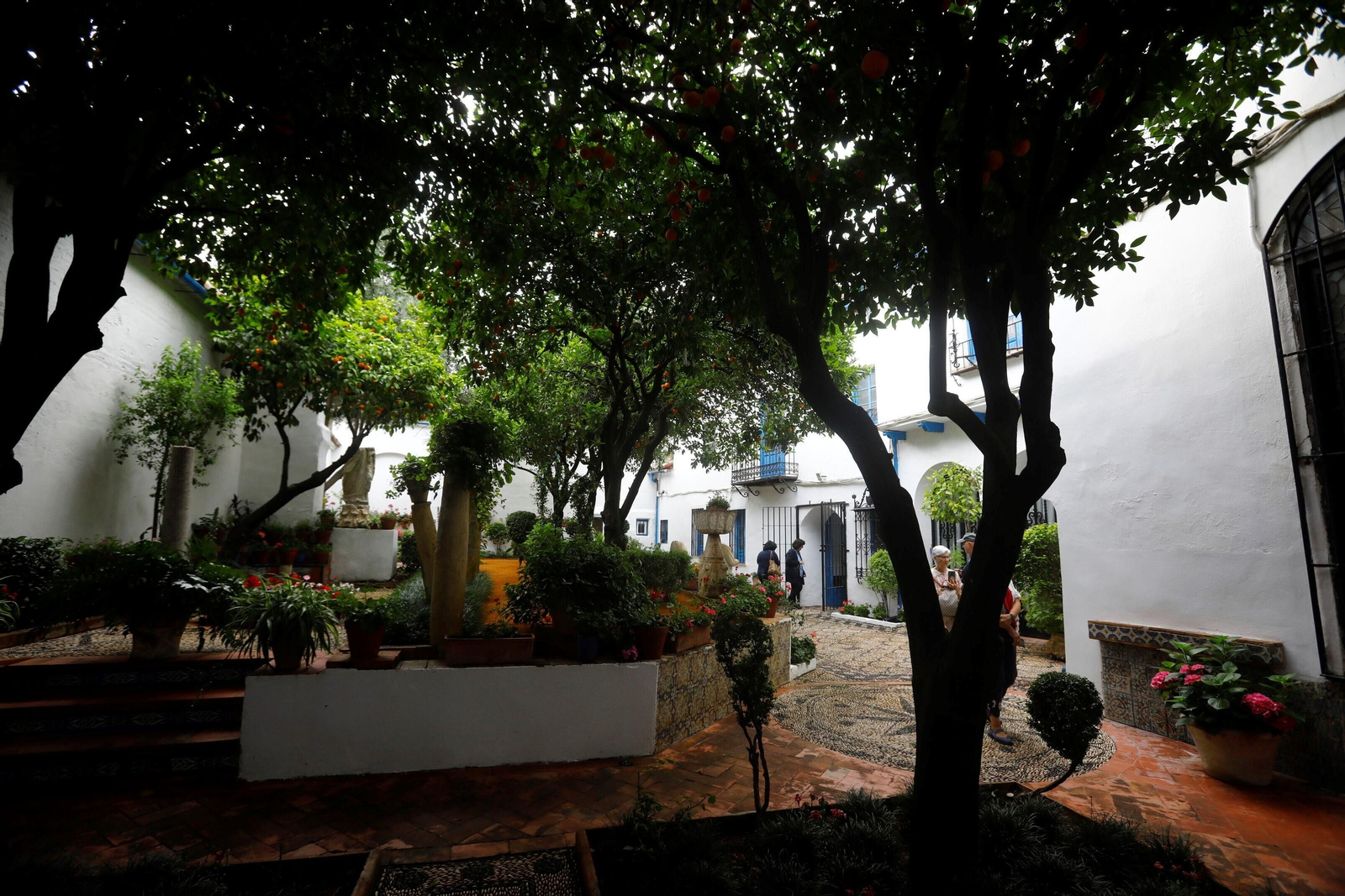 Los patios de Córdoba de la ruta Judería-San Francisco, en imágenes