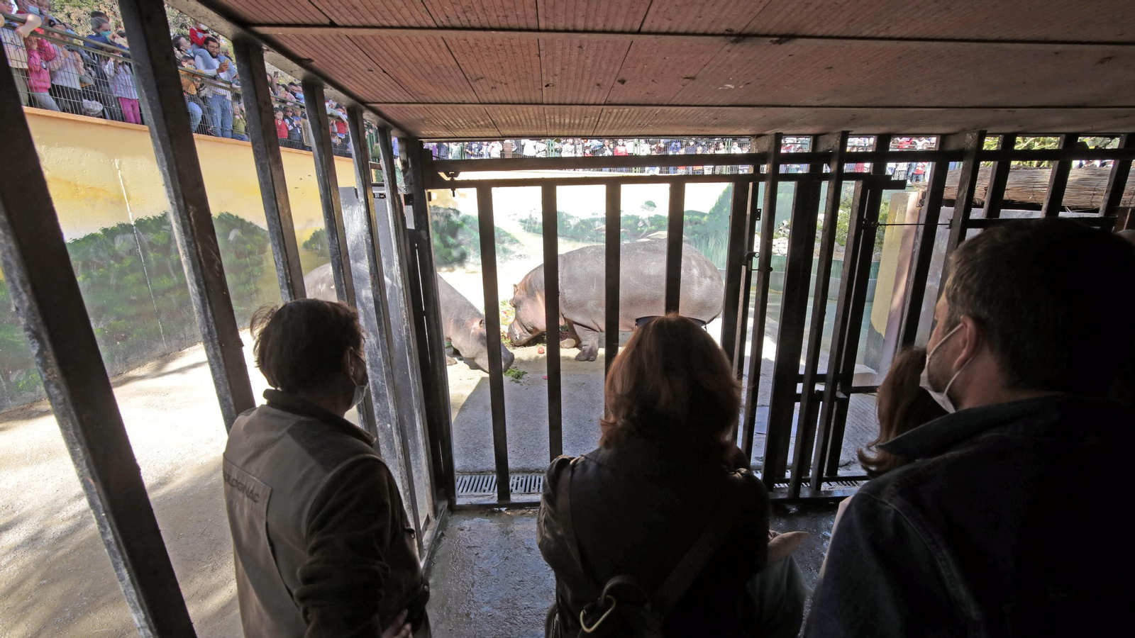 69 aniversario del Zoo de Jerez