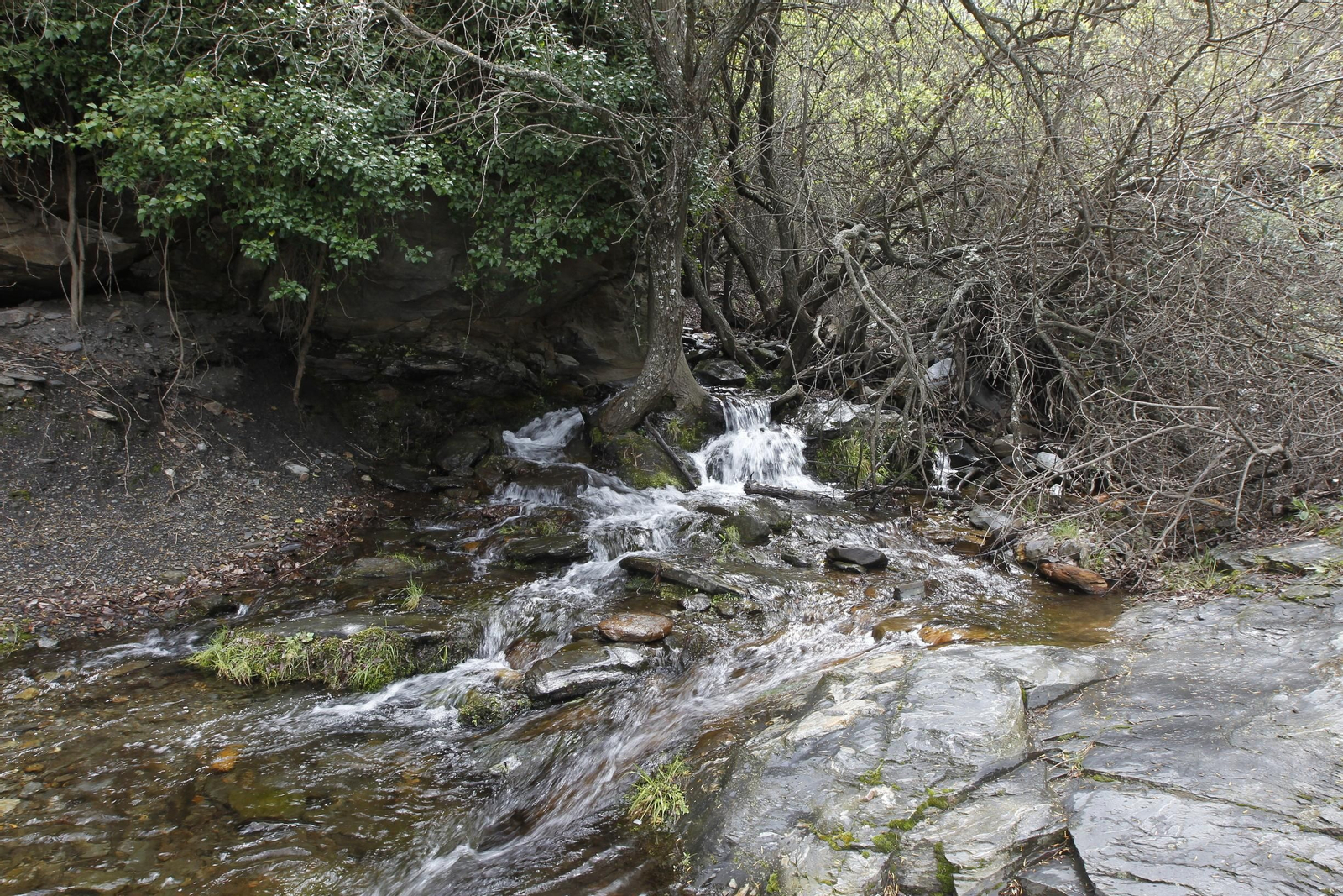 Naturaleza desconfinada. La Roza (Abrucena)