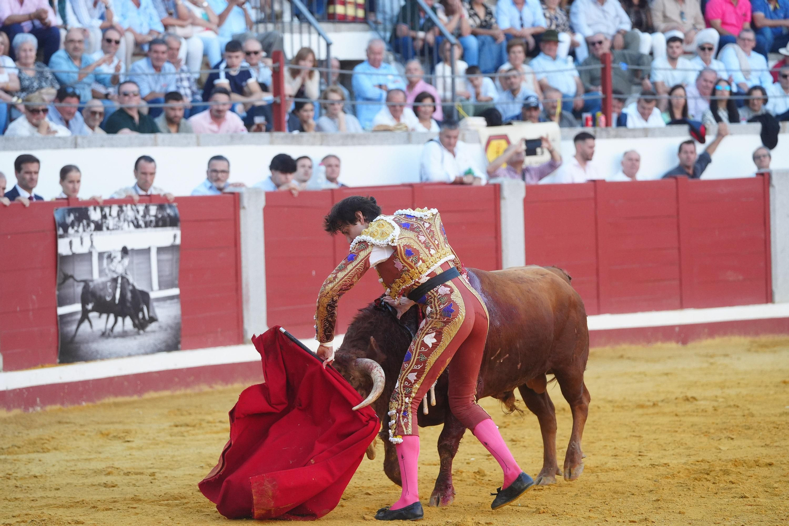 El triunfo de Rocío Romero, Manzanares y Roca Rey en la plaza de toros Pozoblanco, en imágenes