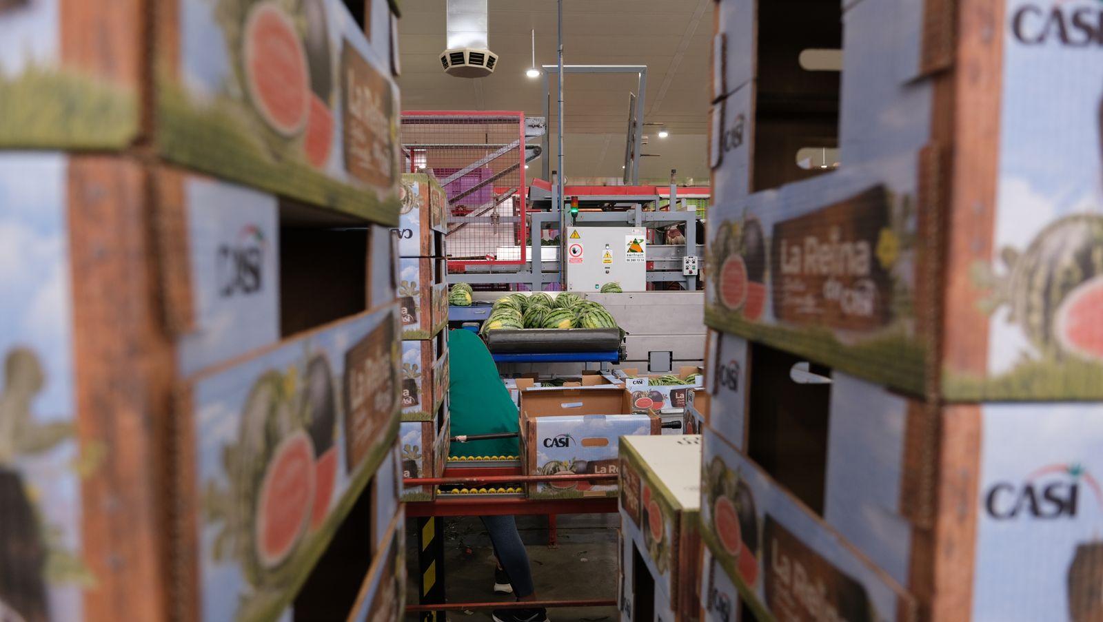 La IA llega a CASI, en imágenes