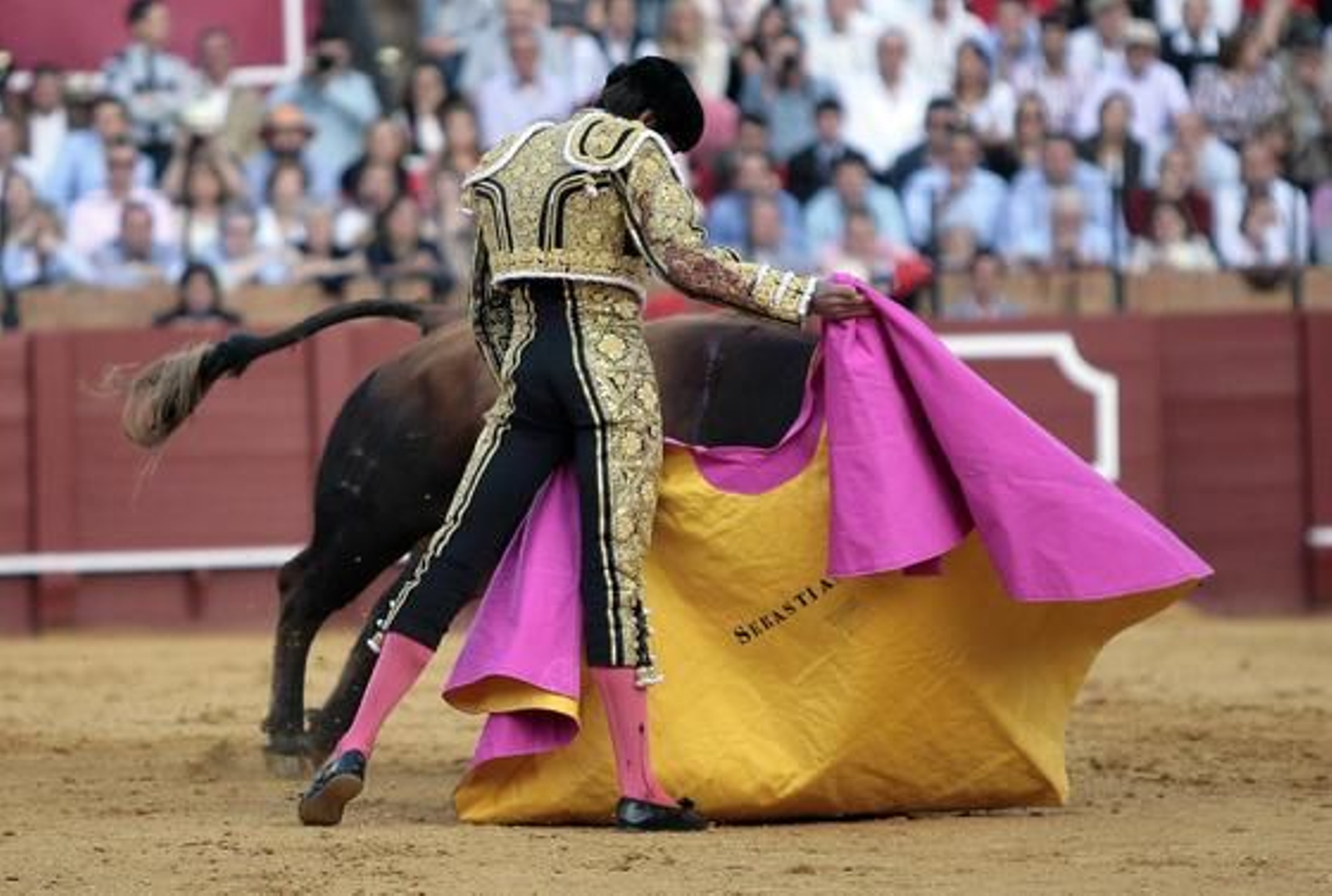 Castella./ Juan Carlos Muñoz