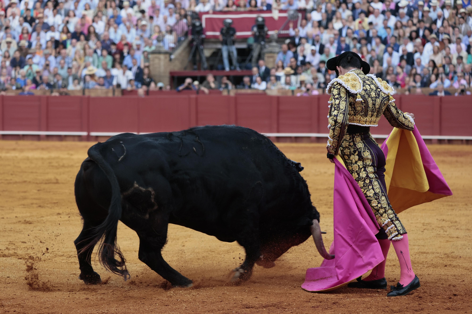 las imágenes del festejo