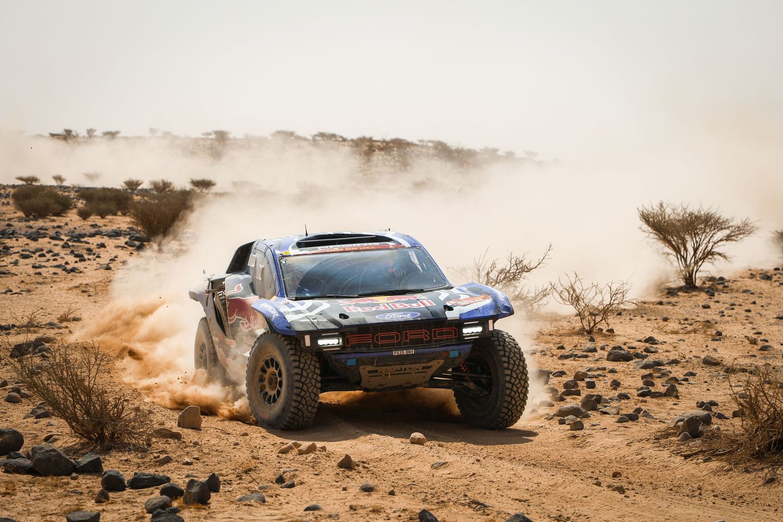 Las mejores fotos del Rally Dakar | undécima etapa