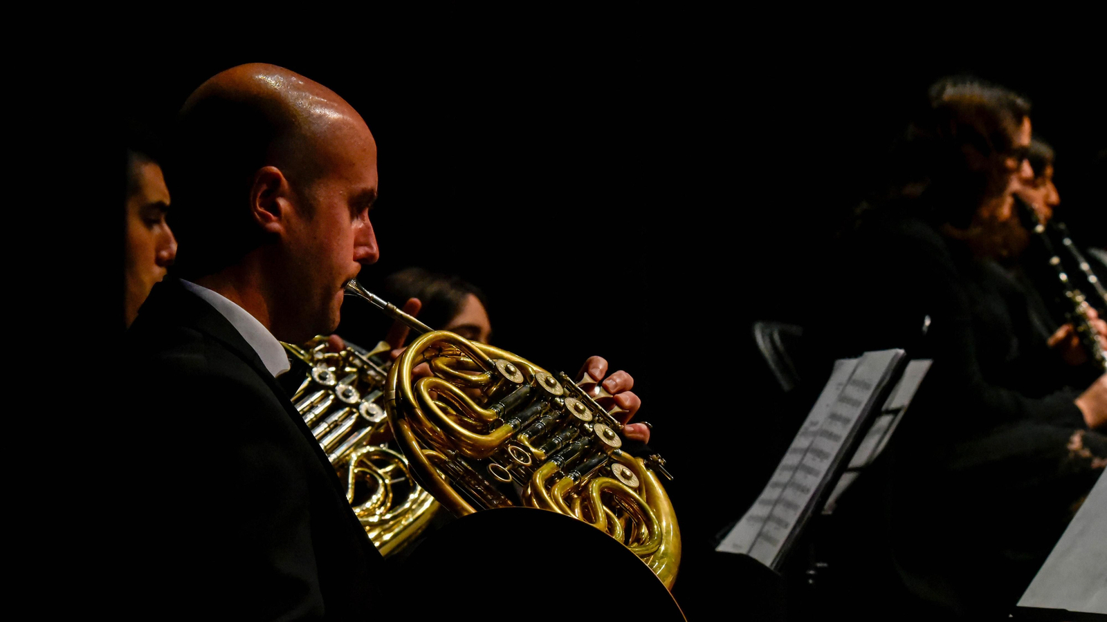 Las fotos del concierto de La Joven Orquesta Sinfónica de La Línea