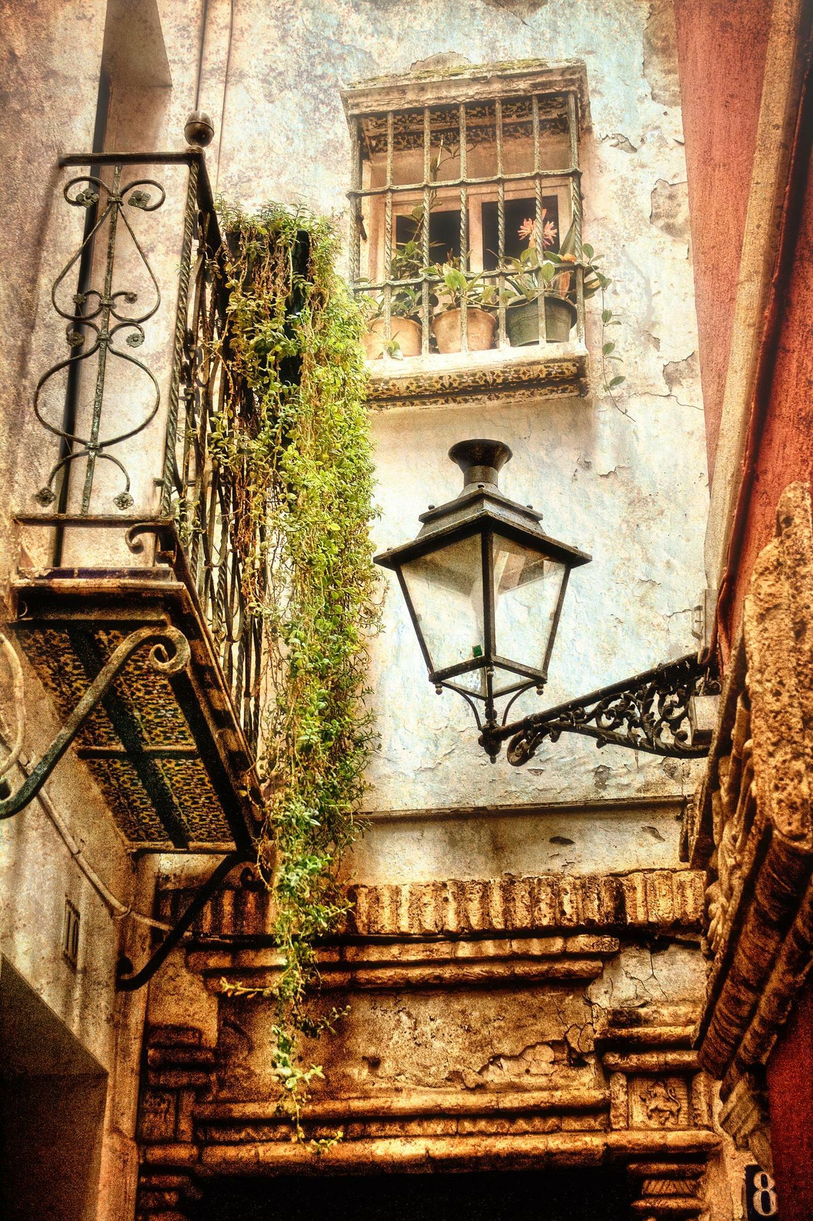 Las imágenes de la exposición 'Pintorescas', de Zu Sánchez.