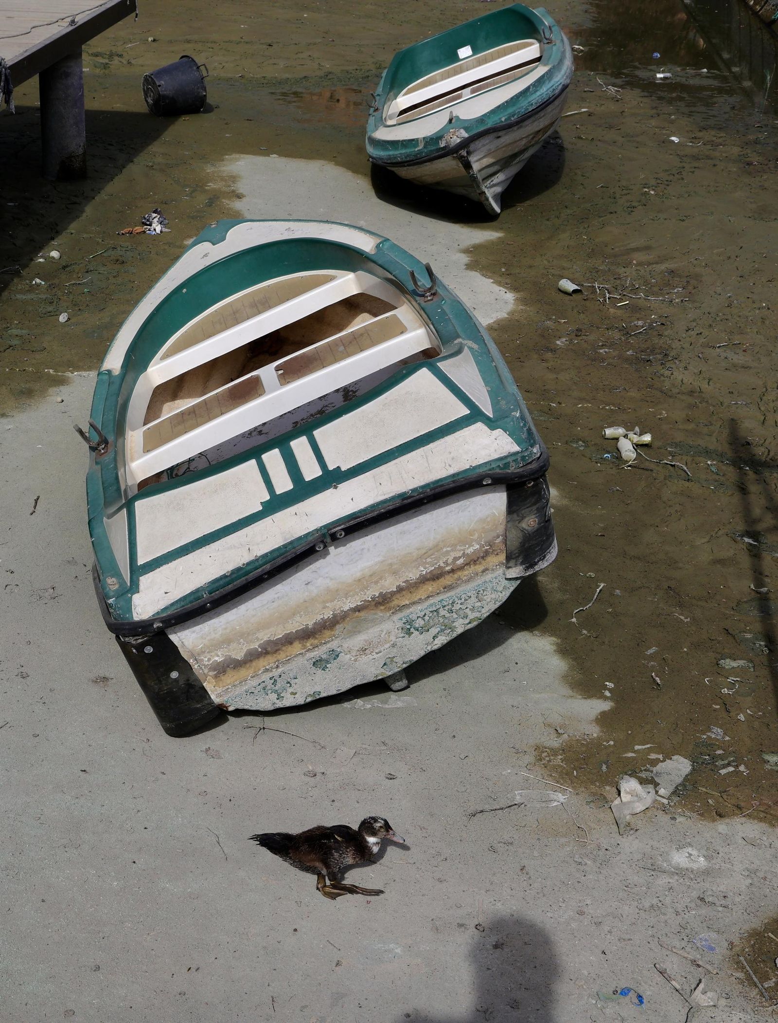 Vaciado de la ría de la Plaza de España para su liemza y restauración