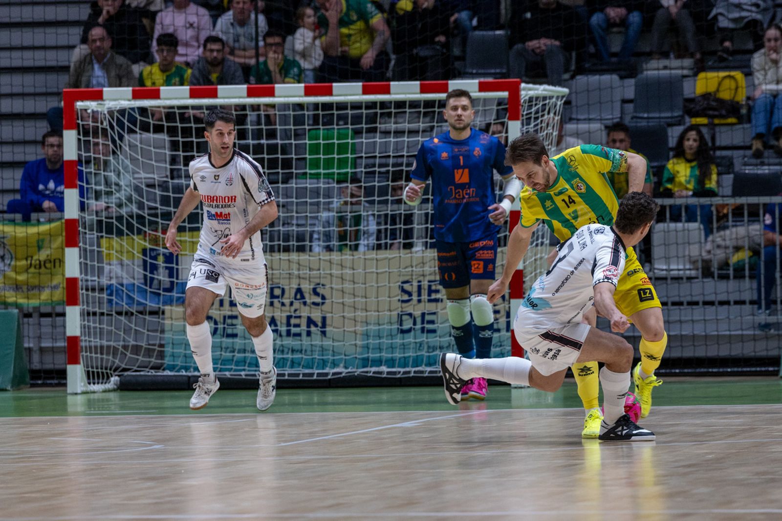 Las mejores imágenes de las tablas entre Jaén Paraíso Interior FS y Noia Portus Apostoli