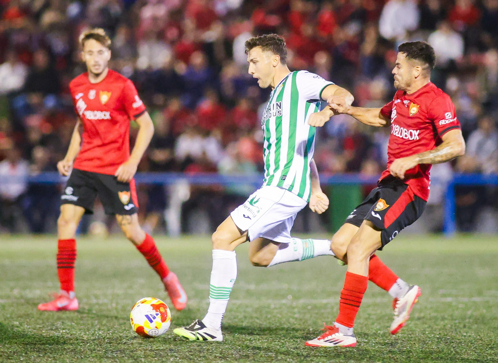 La eliminación del Córdoba CF en Cieza, en imágenes