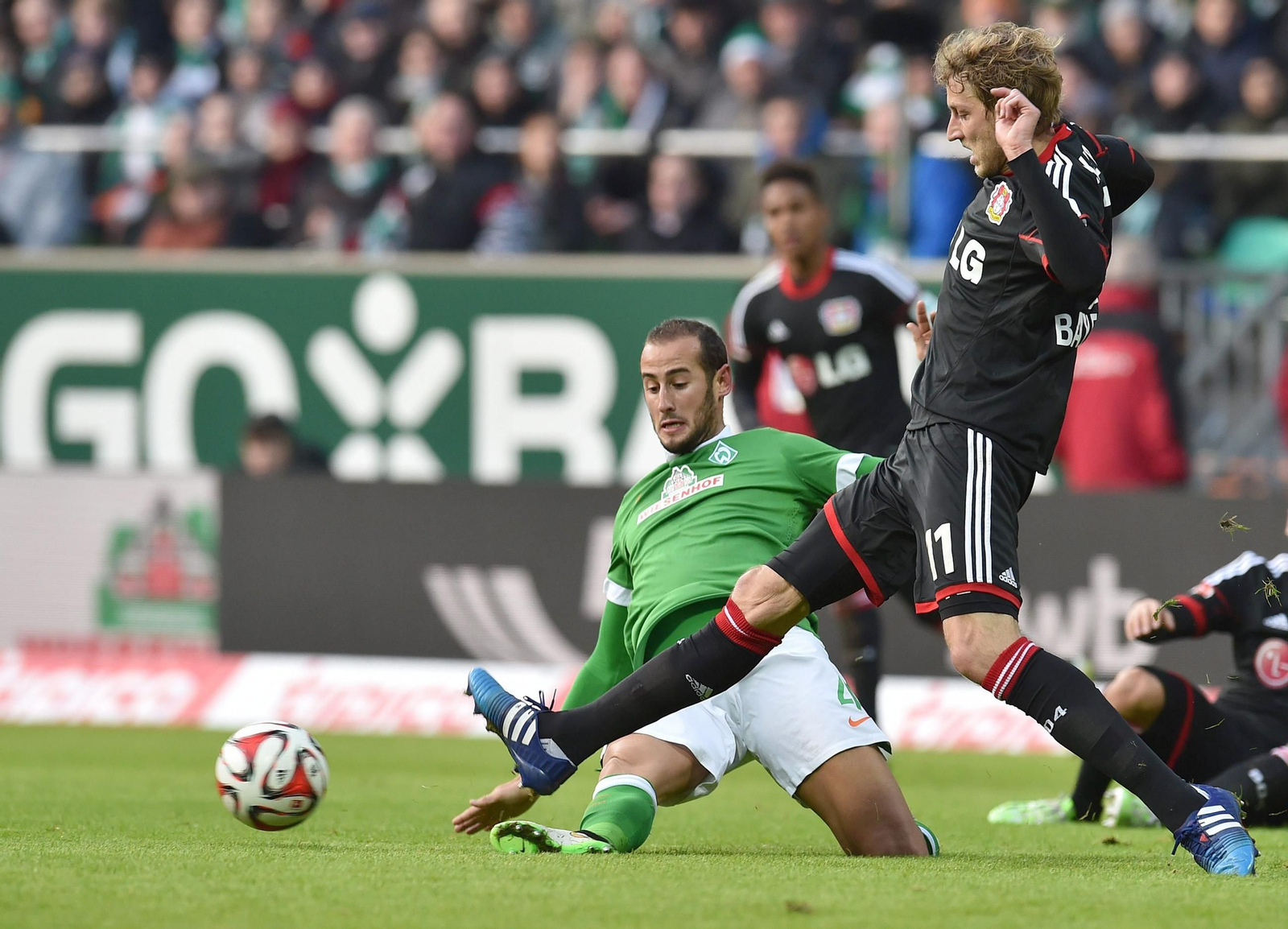 La carrera profesional de Alejandro Gálvez, foto a foto