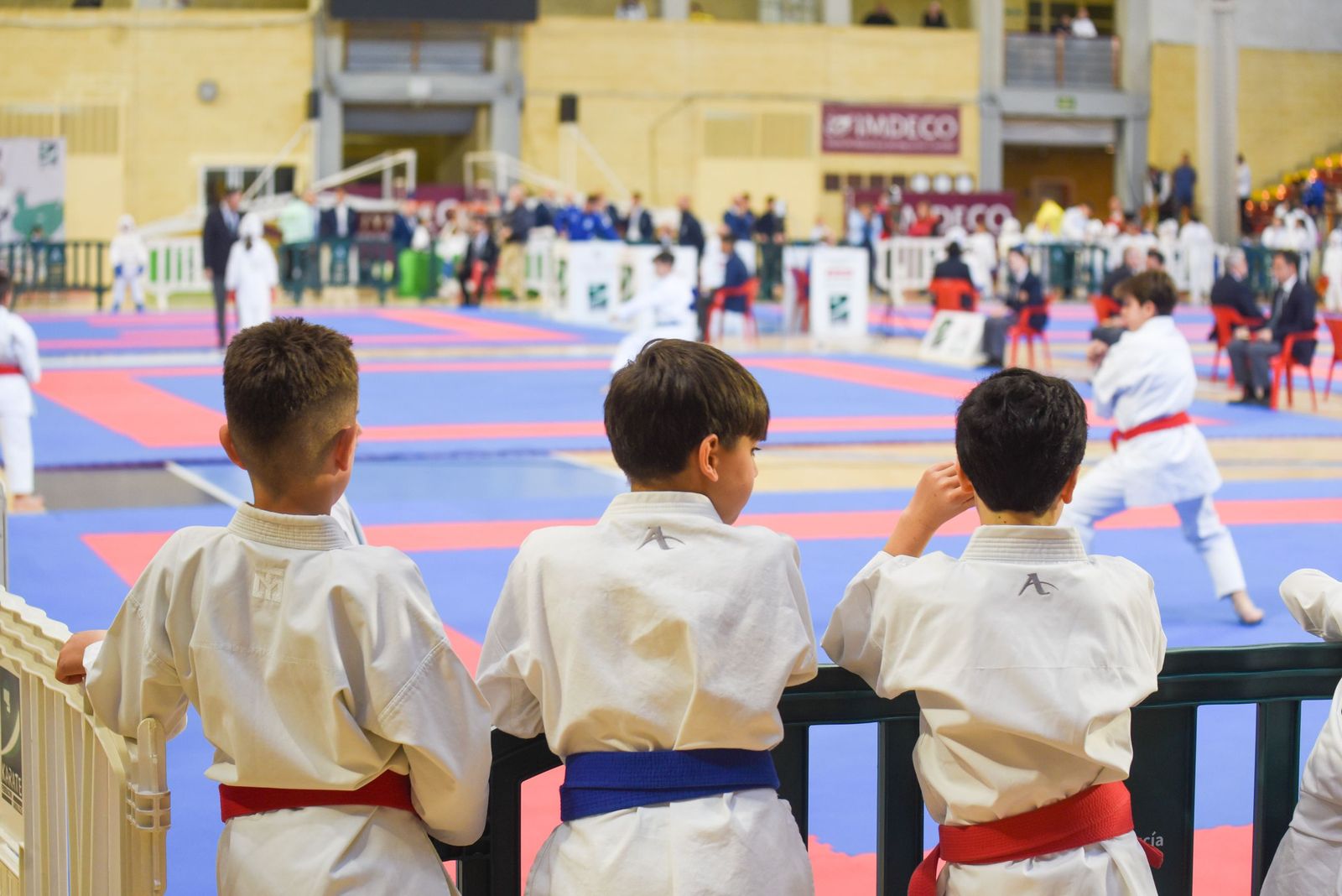 Las fotos del vibrante Campeonato de Andalucía de kárate infantil de Córdoba