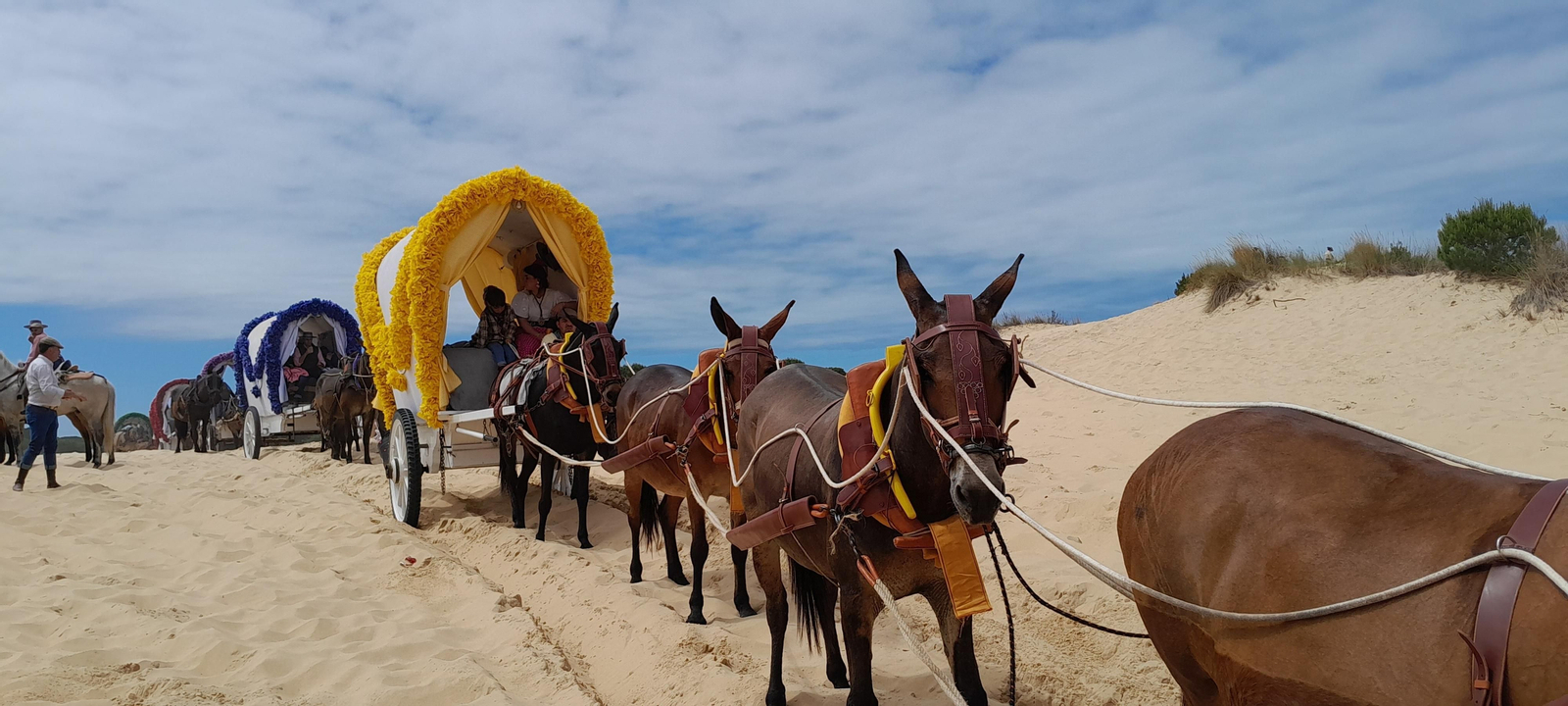 Imágenes de la Hermandad del Rocío de Jerez el viernes camino de la Aldea