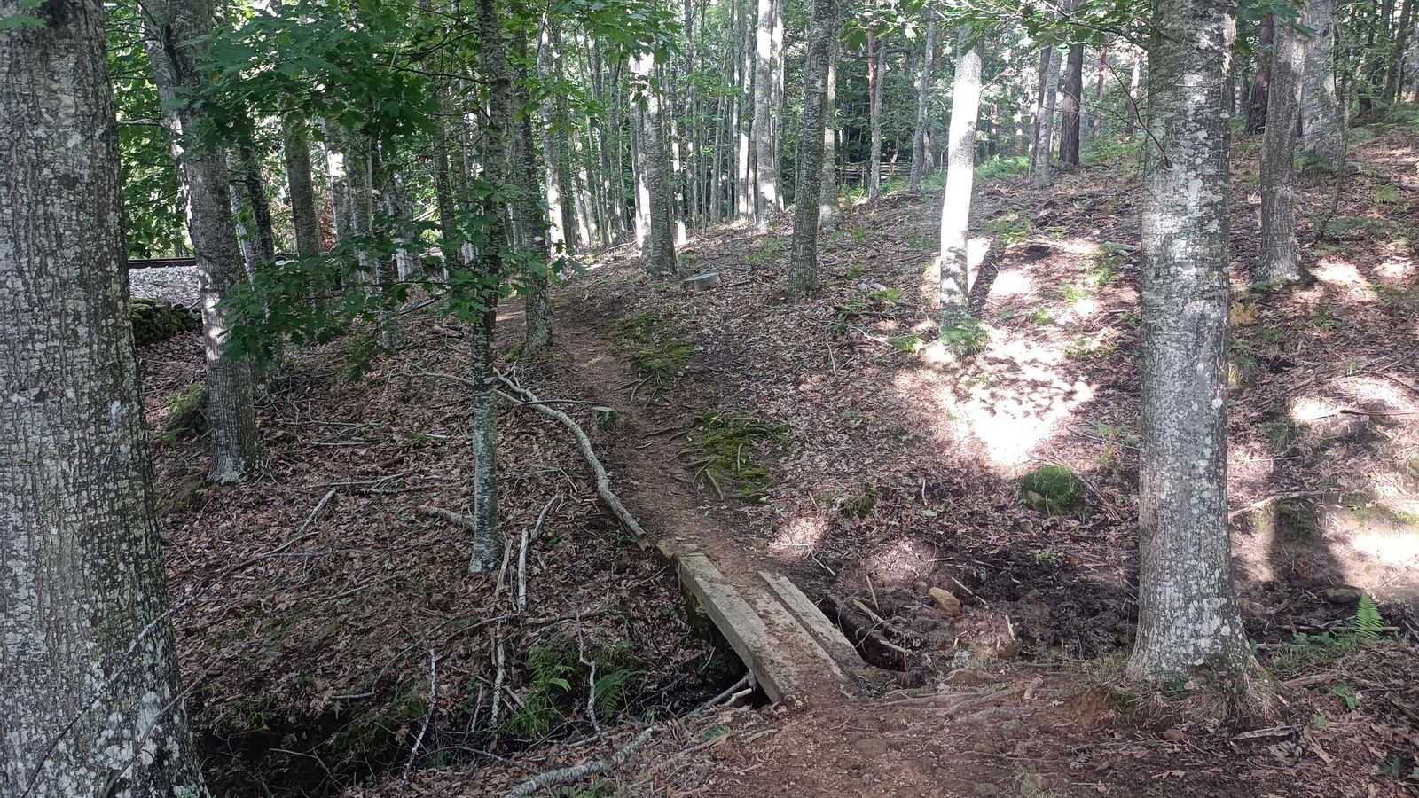 Pasaremos varios arroyos por puentes de madera o piedras.