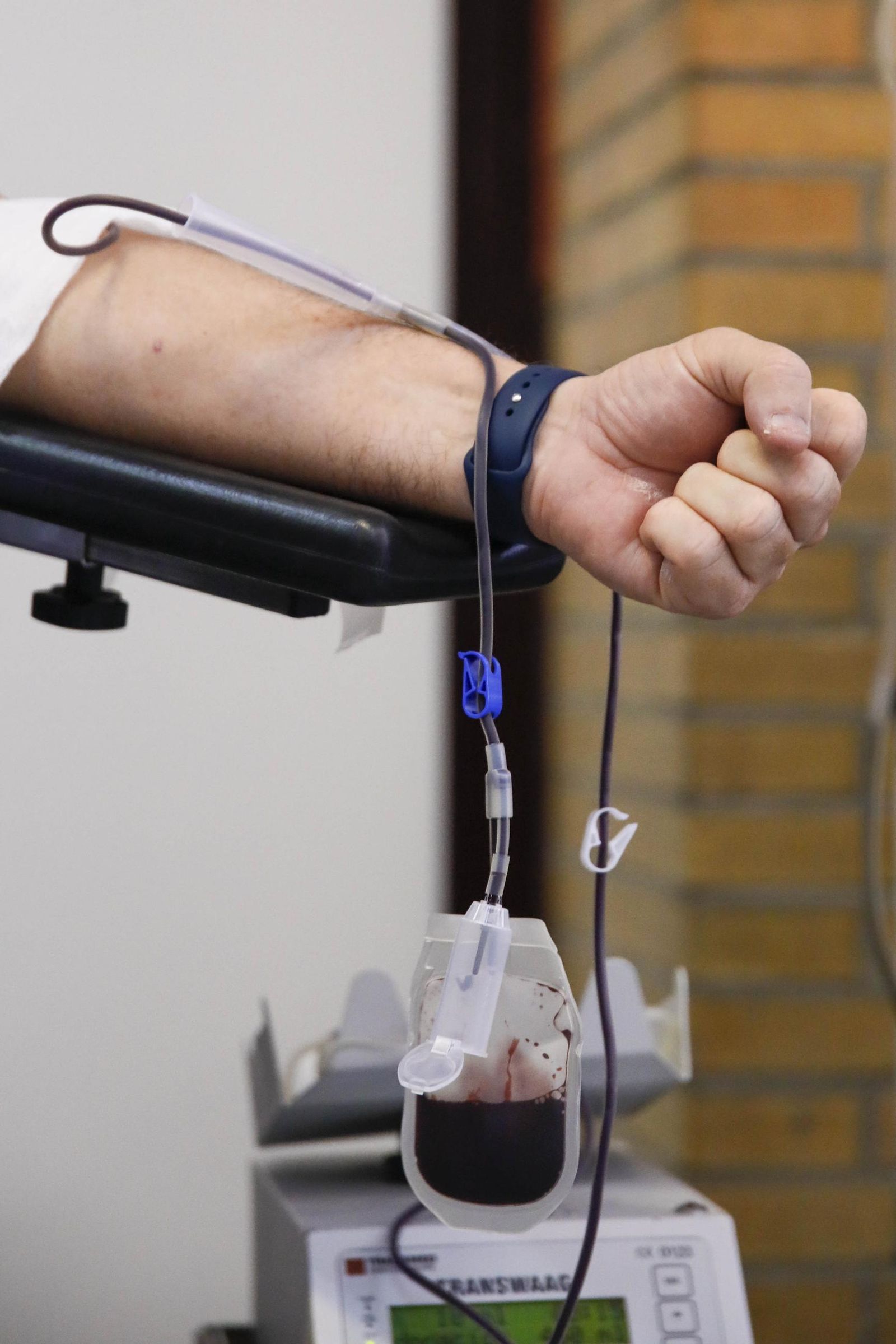 La colecta de sangre y plasma en la Universidad de Almería, en imágenes