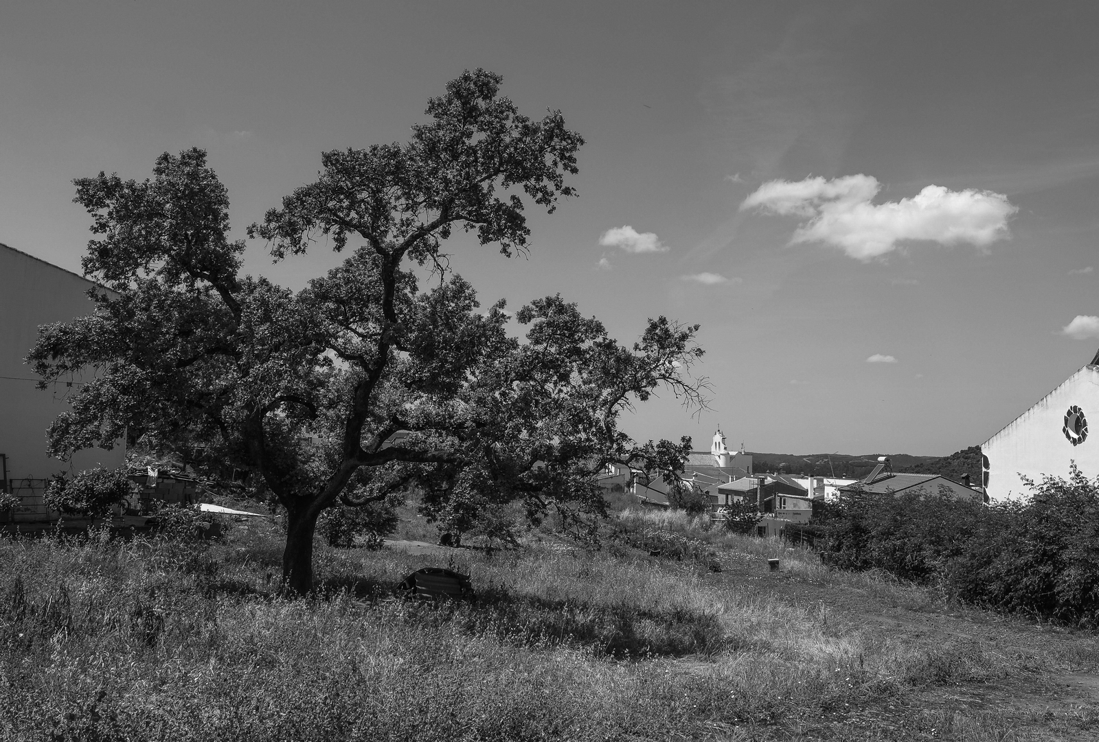 Berrocal. Rescoldos de alegría