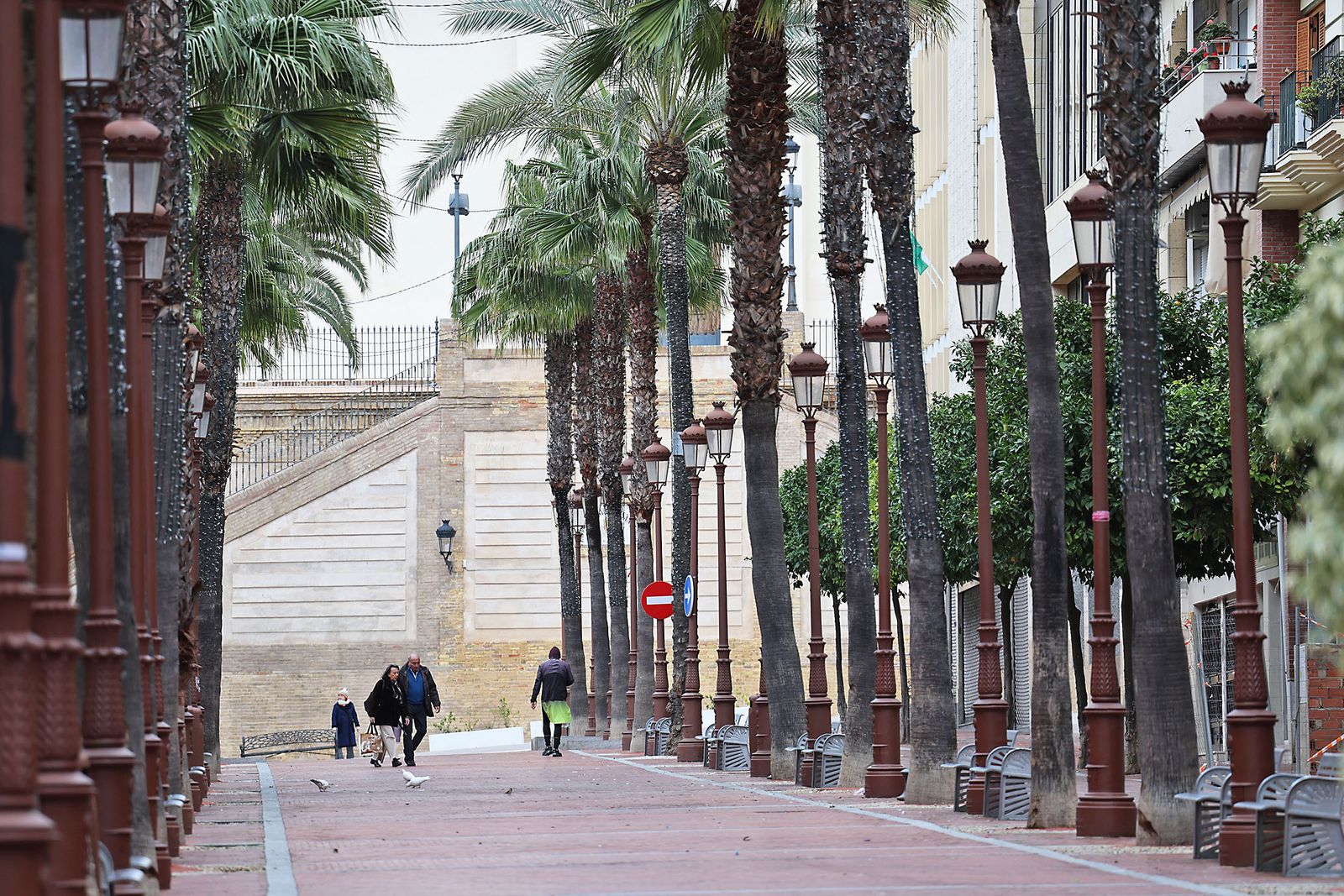 El inicio de 2026 en fotografías