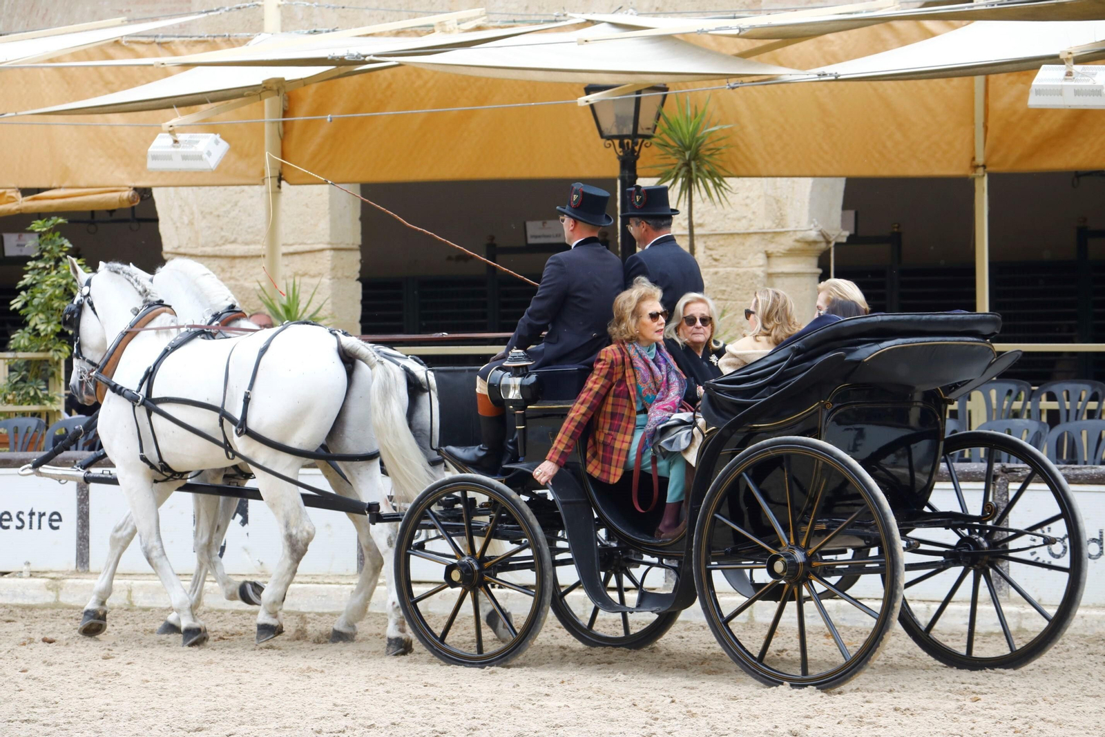La exhibición de enganches en Caballerizas Reales de Córdoba, en imágenes