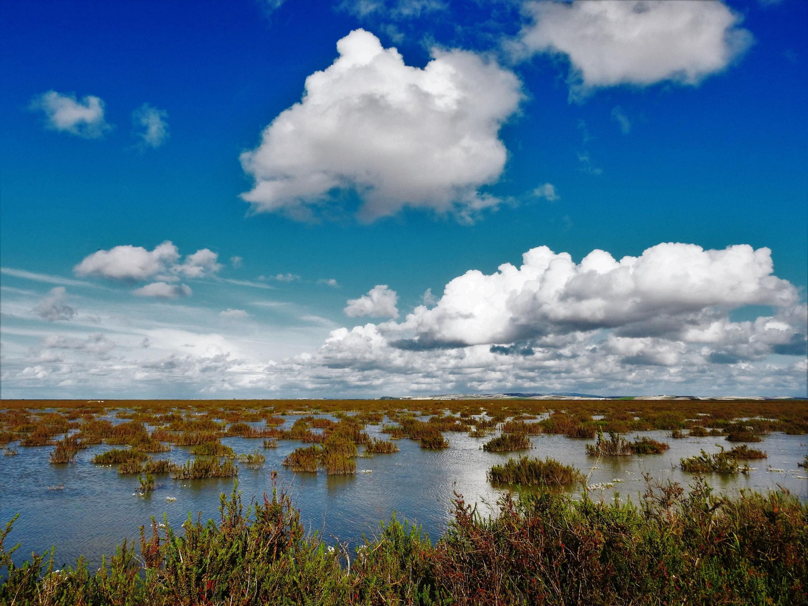 Marismas de Trebujena.