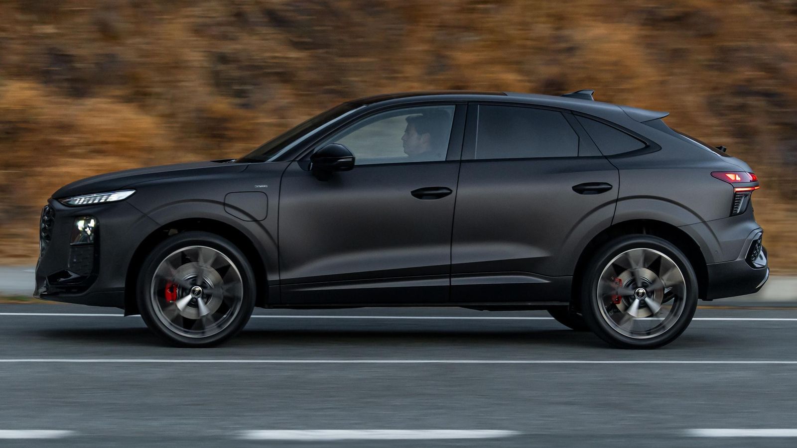 La inclusión del paquete opcional Premium del que disponían nuestros e-Hybrid queda delatado por las cuatro pinzas de color rojo.