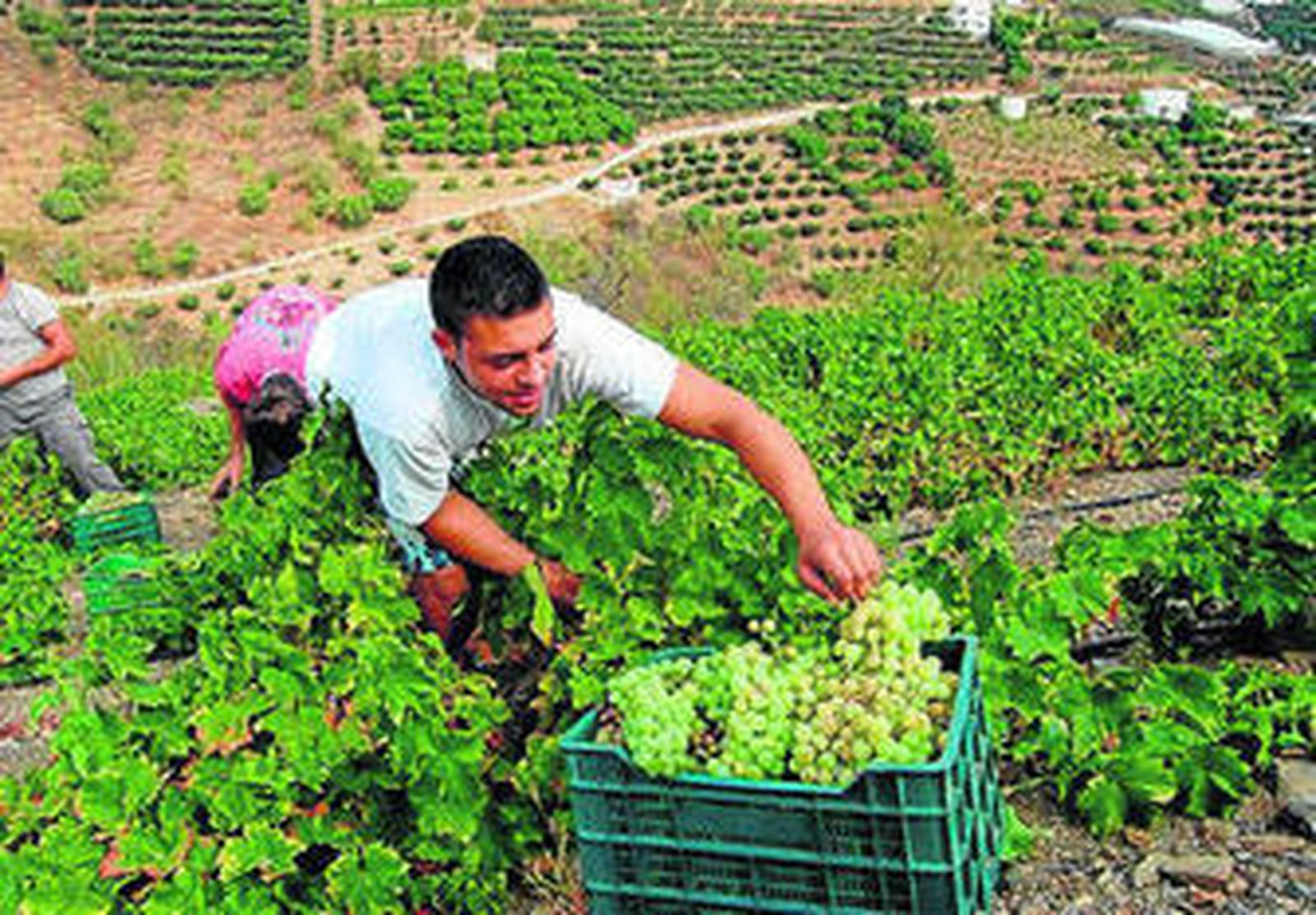 El bodeguero es uno de los fundadores de la asociación.