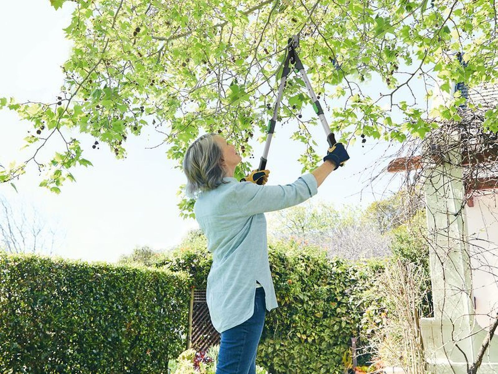 Asi es la nueva herramienta low-cost para tu jardín que ha triunfado en Lidl.