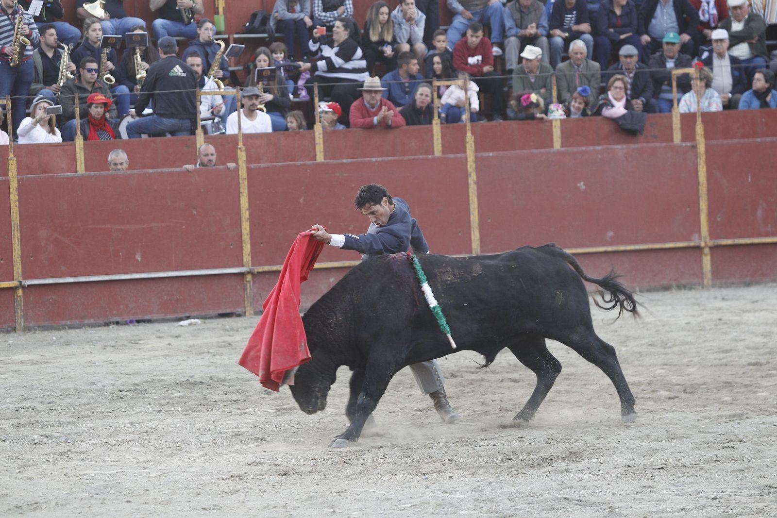 Fotogalería Festival Taurino Mixto. Fiestas de Abrucena.