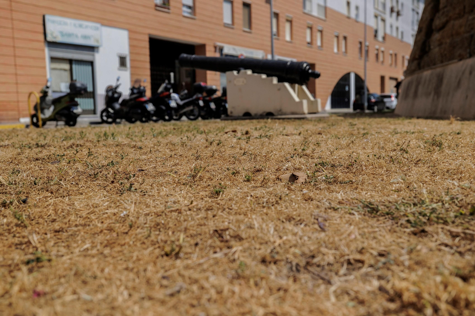 Las zonas verdes menos verdes de la ciudad de Cádiz