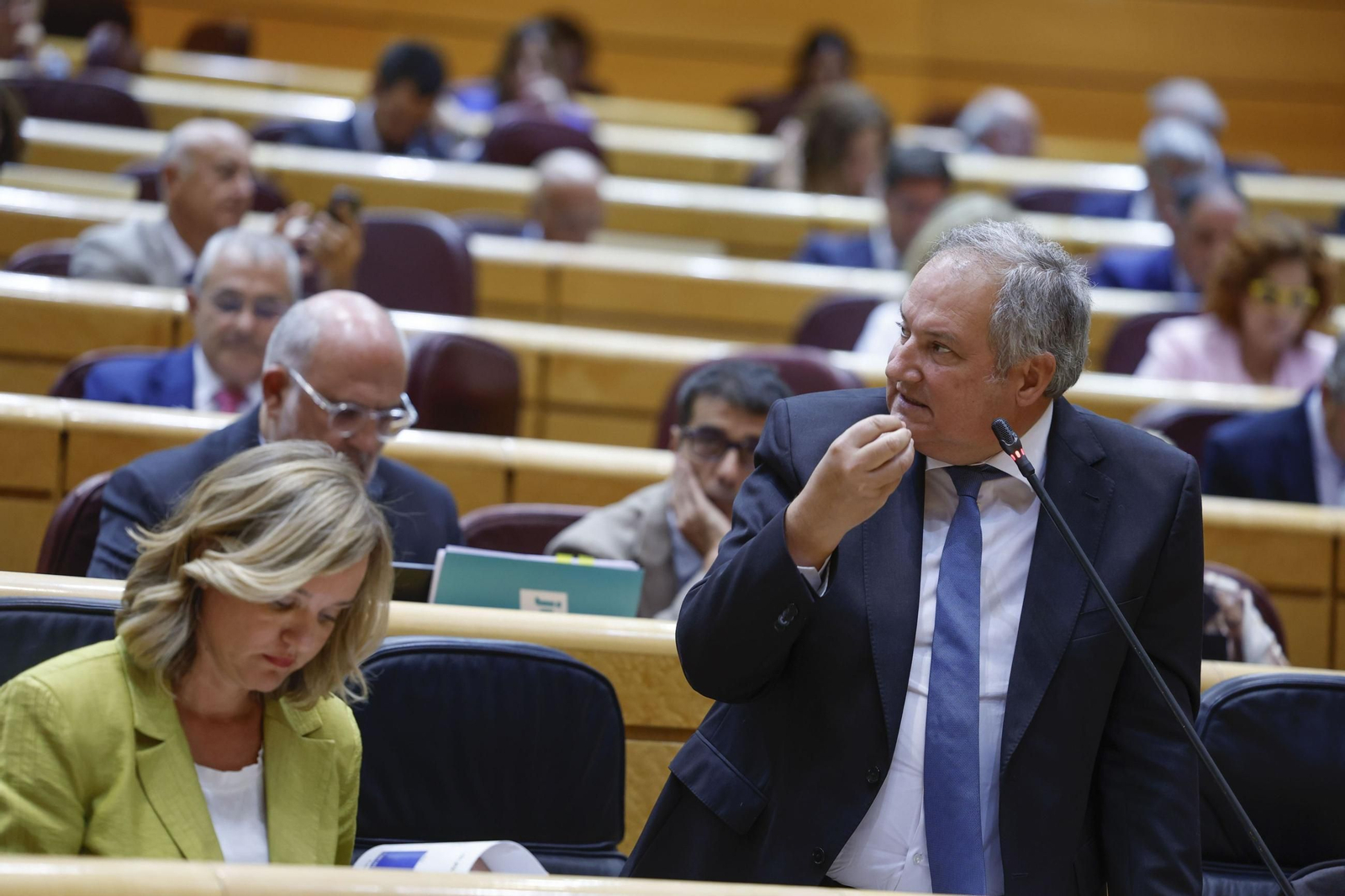 El ministro de Industria y Turismo, Jordi Hereu, durante su intervención en el Senado.