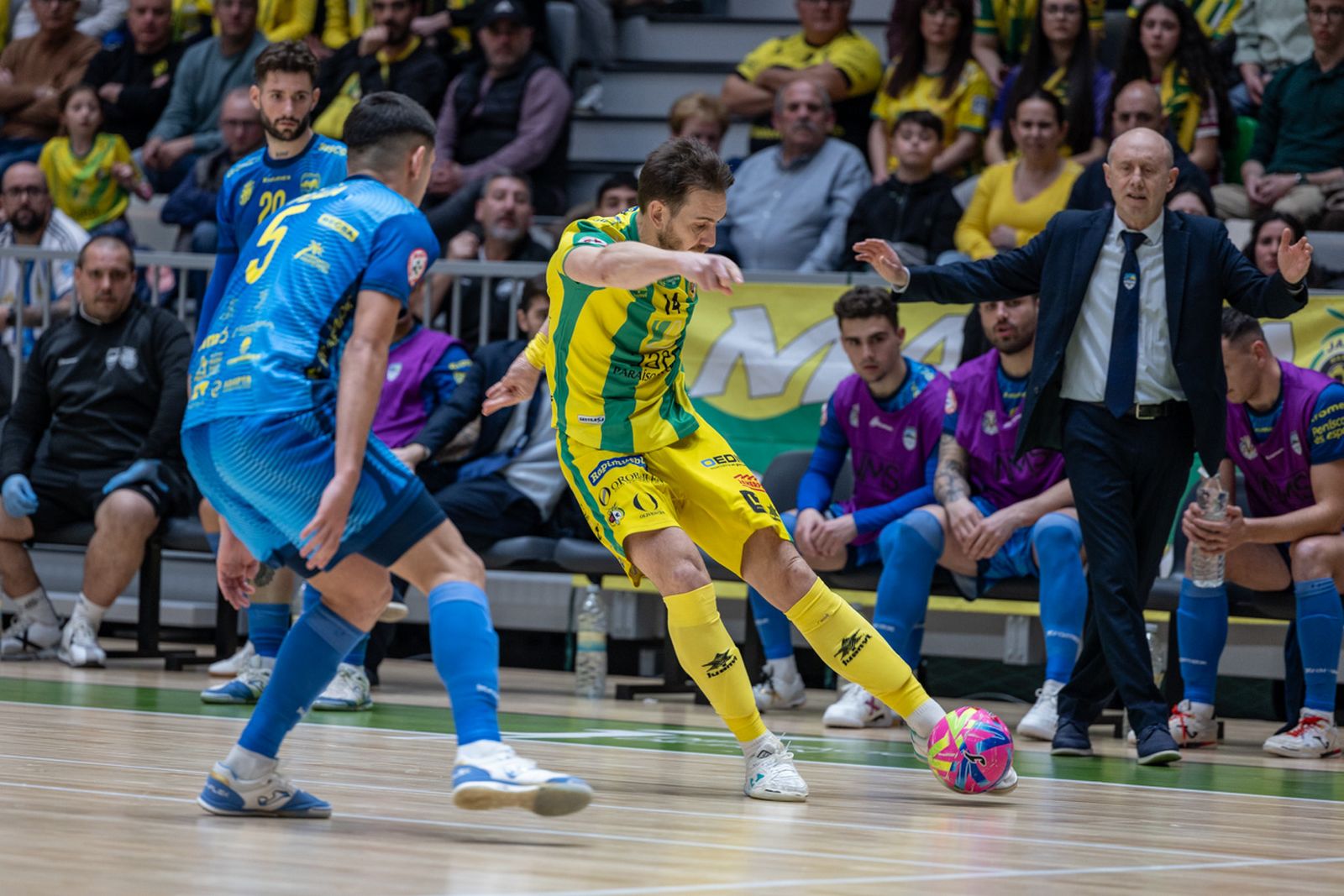 Las mejores imágenes del empate entre Jaén Paraíso Interior FS y Servigroup Peñíscola