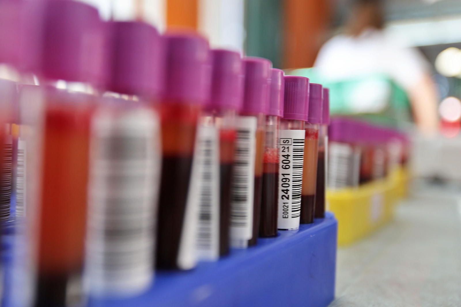 Imágenes de la macrocolecta de sangre en la Casa Colón de Huelva