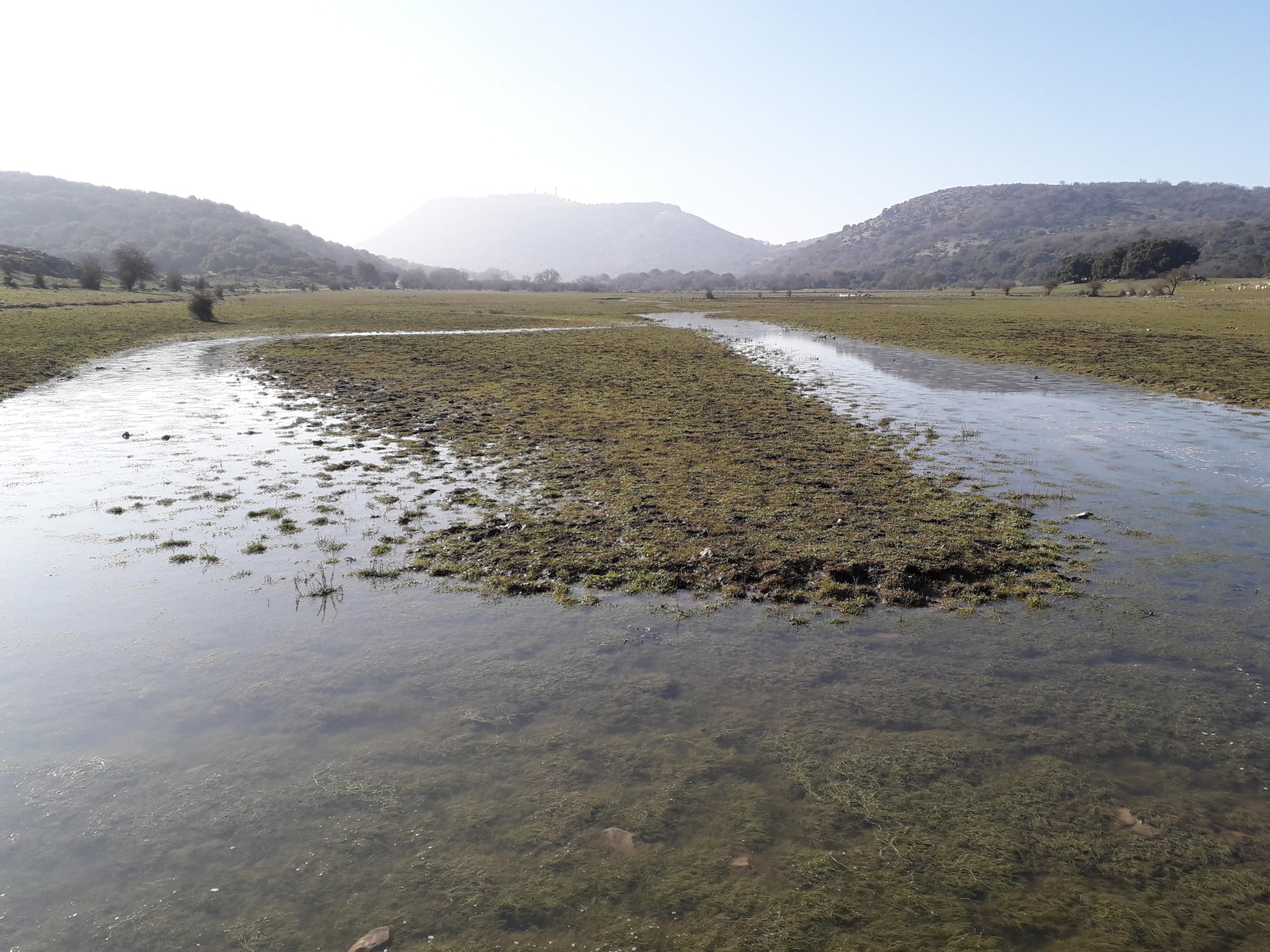 El polje de las Navas, en el geoparque de las Sierras Subbéticas, empantanado. Los ríos de Córdoba se llenan de vida