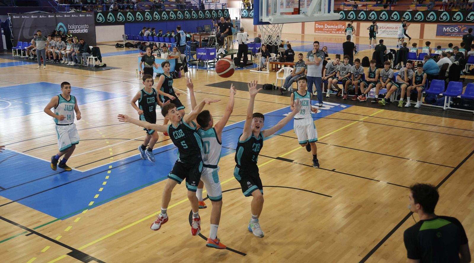 Las fotos de la segunda jornada del Campeonato de Andalucía infantil masculino de baloncesto, en La Línea