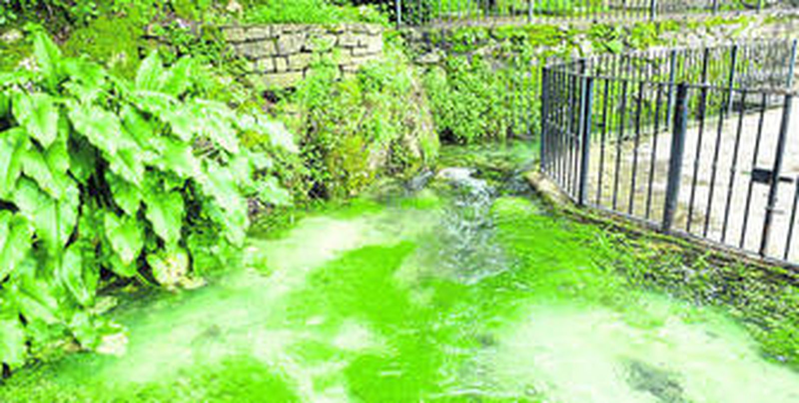 Imagen del manantial de agua de Benamahoma.