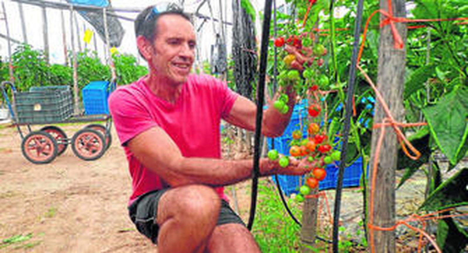 Este agricultor de Dalías muestra con orgullo los productos que produce en su finca.