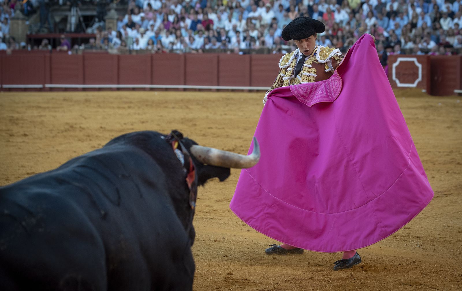 Las imágenes de la segunda corrida de la Feria de San Miguel