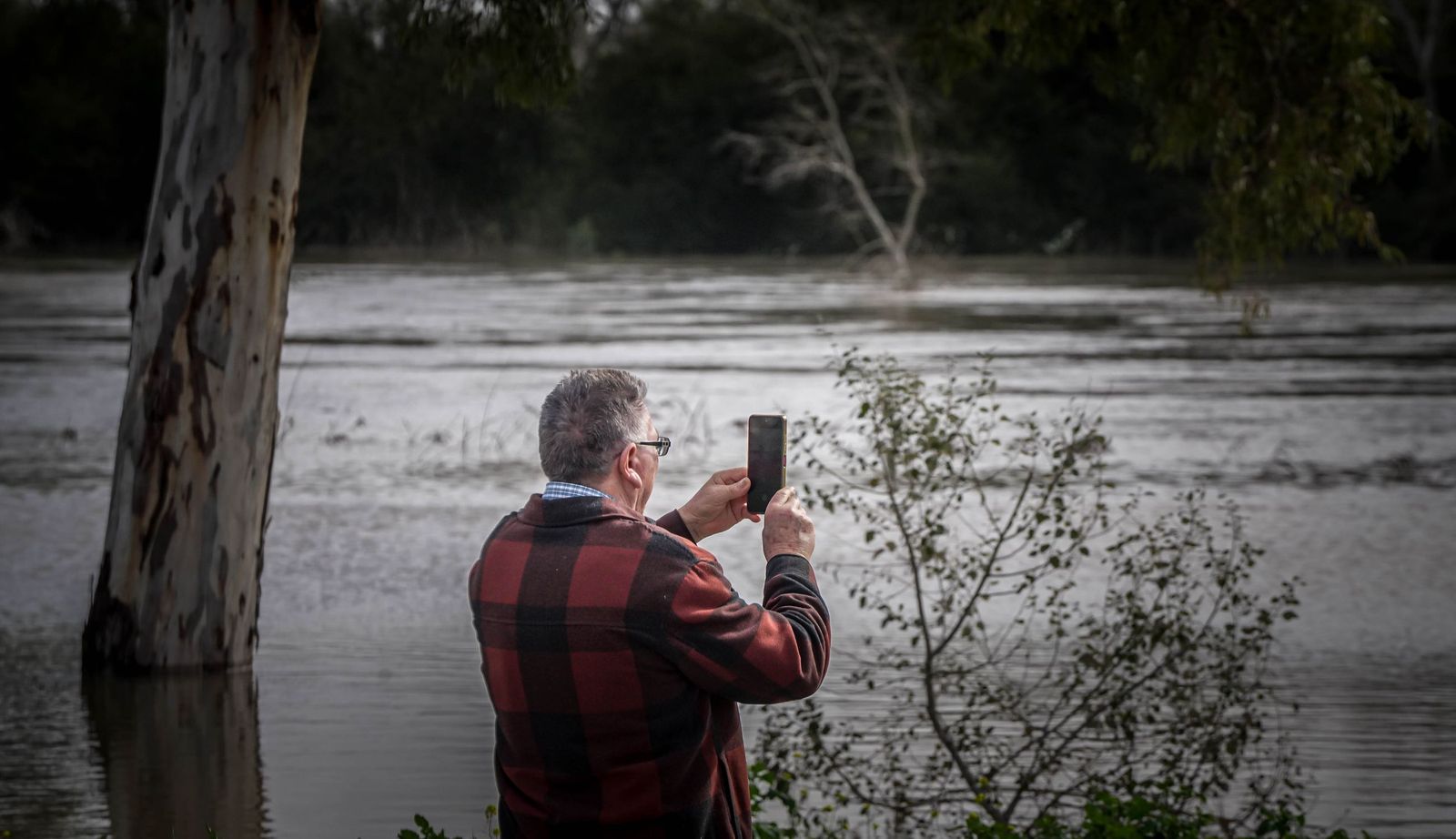 Un día tranquilo en el rio Guadalete, en imágenes