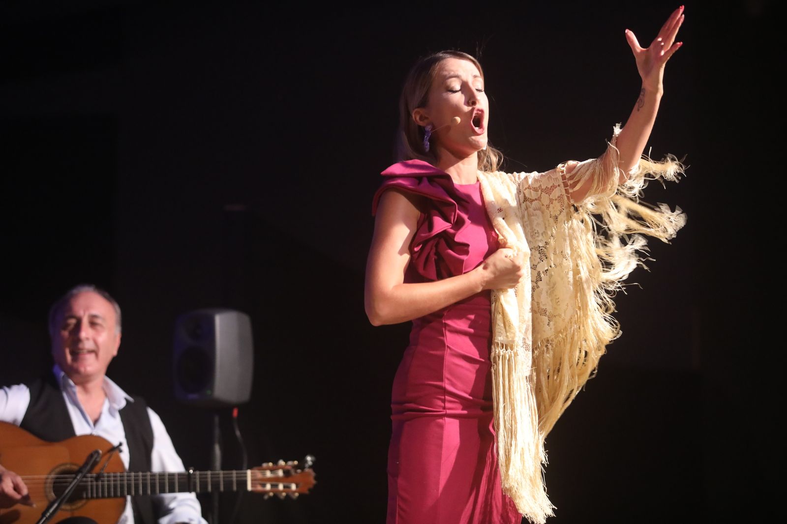 La noche flamenca en el Parque de San Fernando, en imágenes