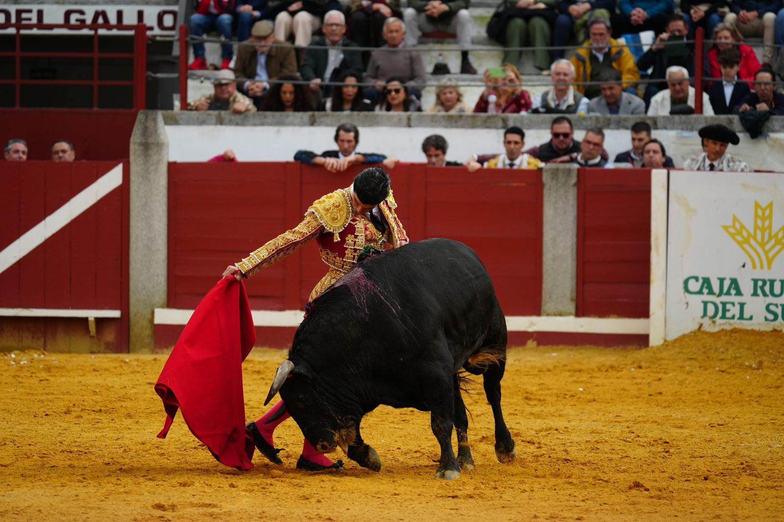 La corrida de primavera con Talavante, Pablo Aguado y Juan Ortega en Pozoblanco, en imágenes