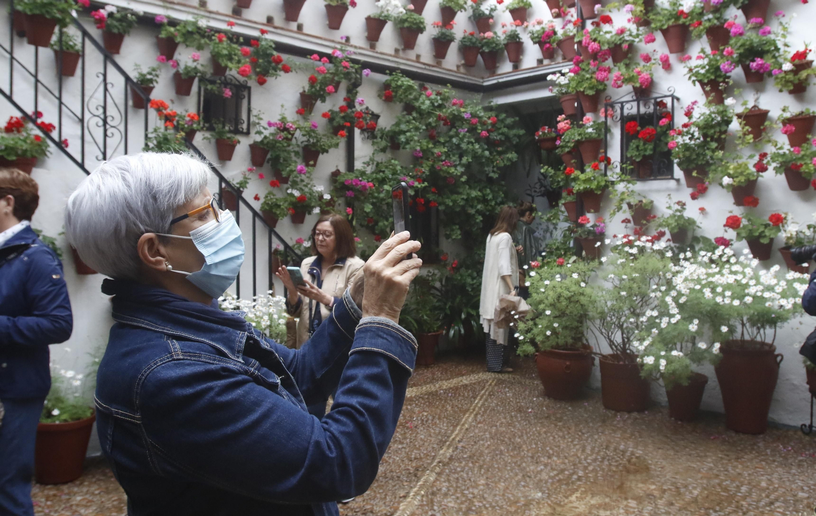 Los Patios de Córdoba reciben sus primeros visitantes, en imágenes