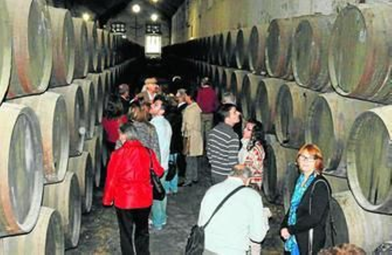 Un grupo de visitantes, en el interior de las bodegas montillanas.