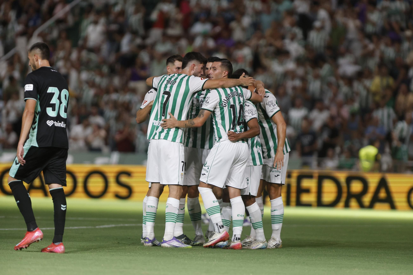 Las mejores fotos del partido en El Arcángel entre el Córdoba CF y el Real Betis