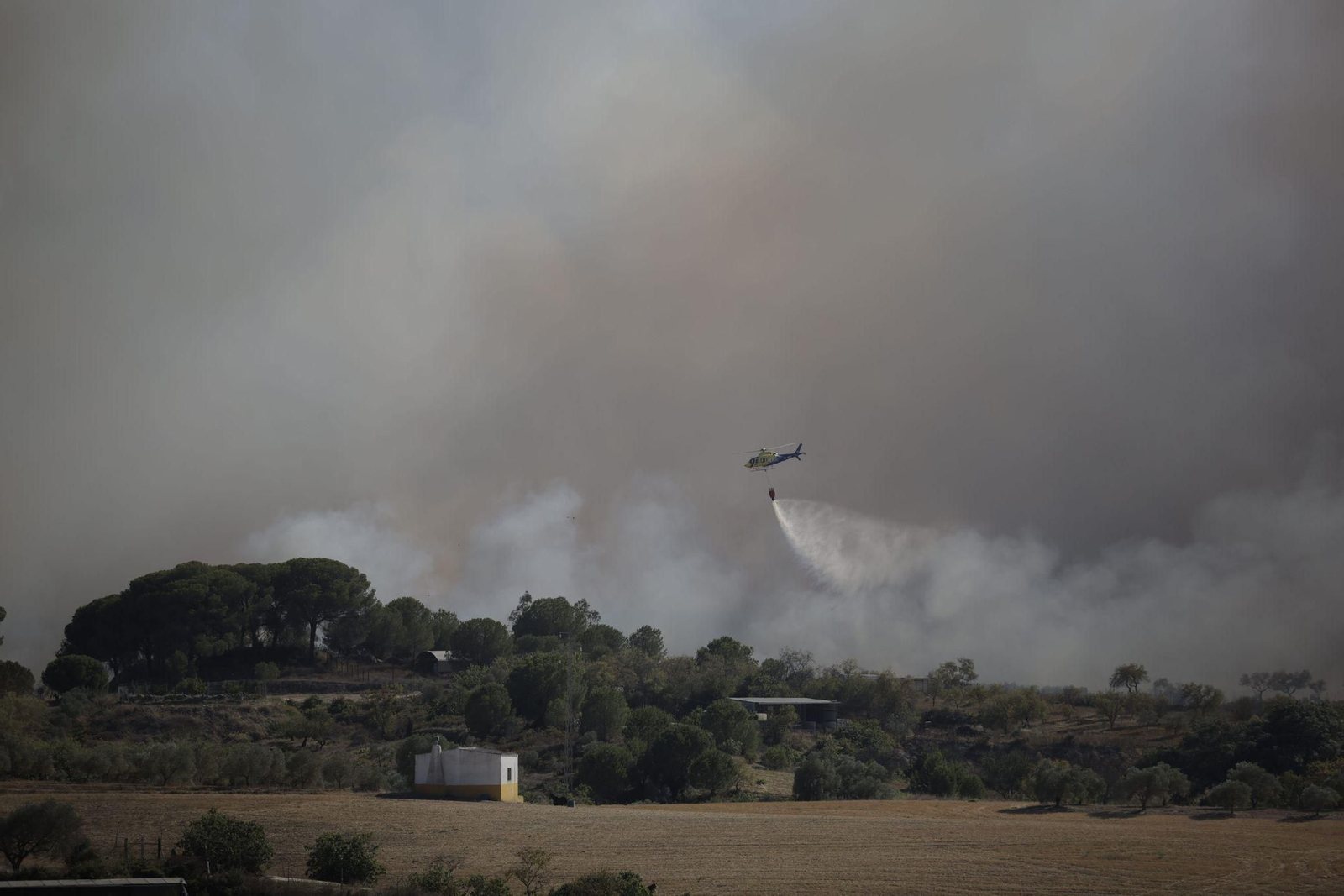 Las imágenes del incendio en Bonares en el que actúan cerca de 20 medios aéreos