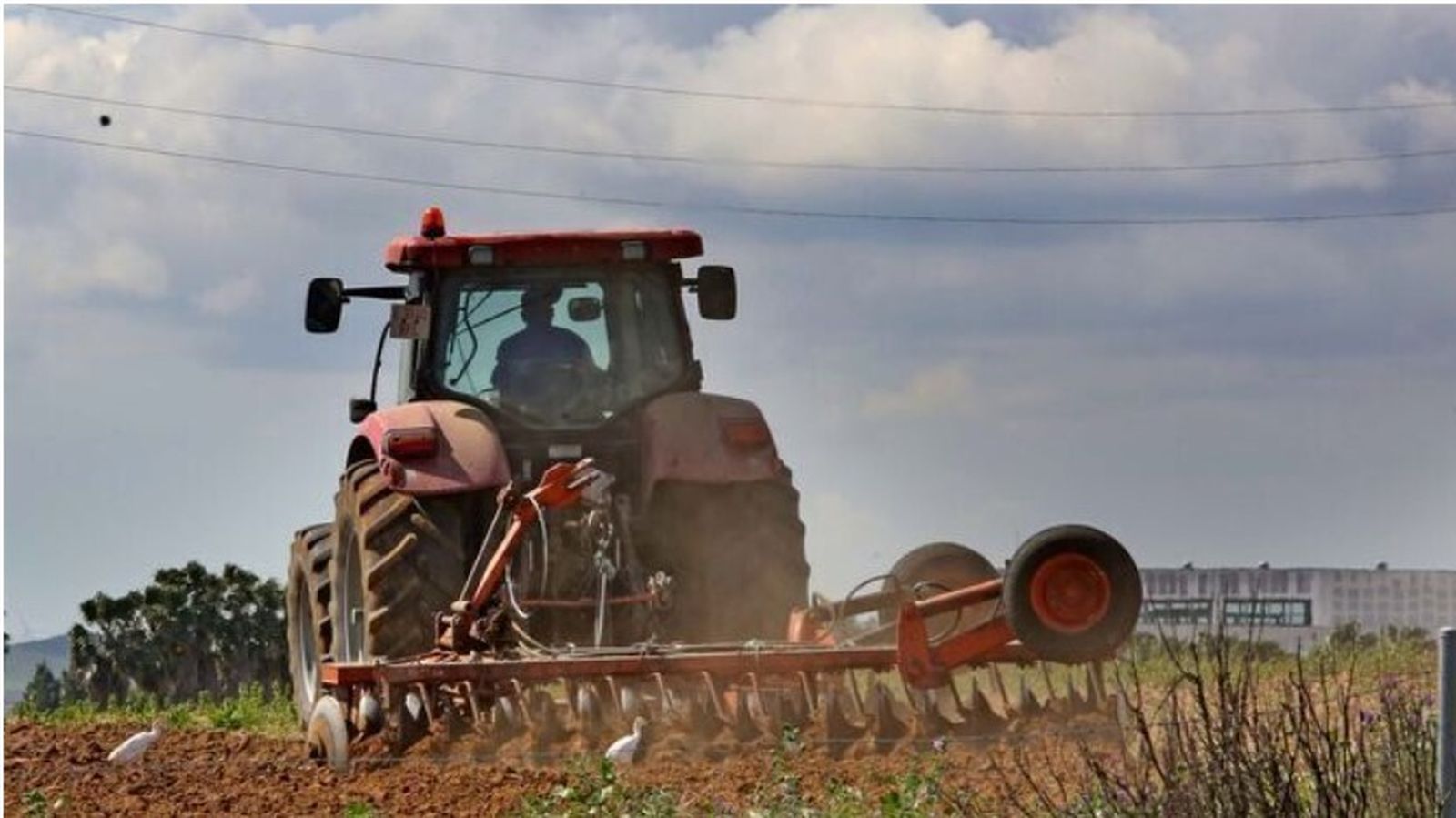 Un agricultor prepara las tierras para las siembras con ayuda de un tractor.