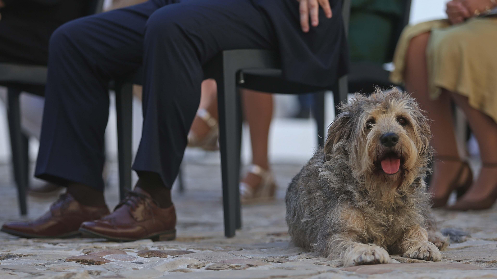 Castellar, uno de los pueblos más bonitos de España