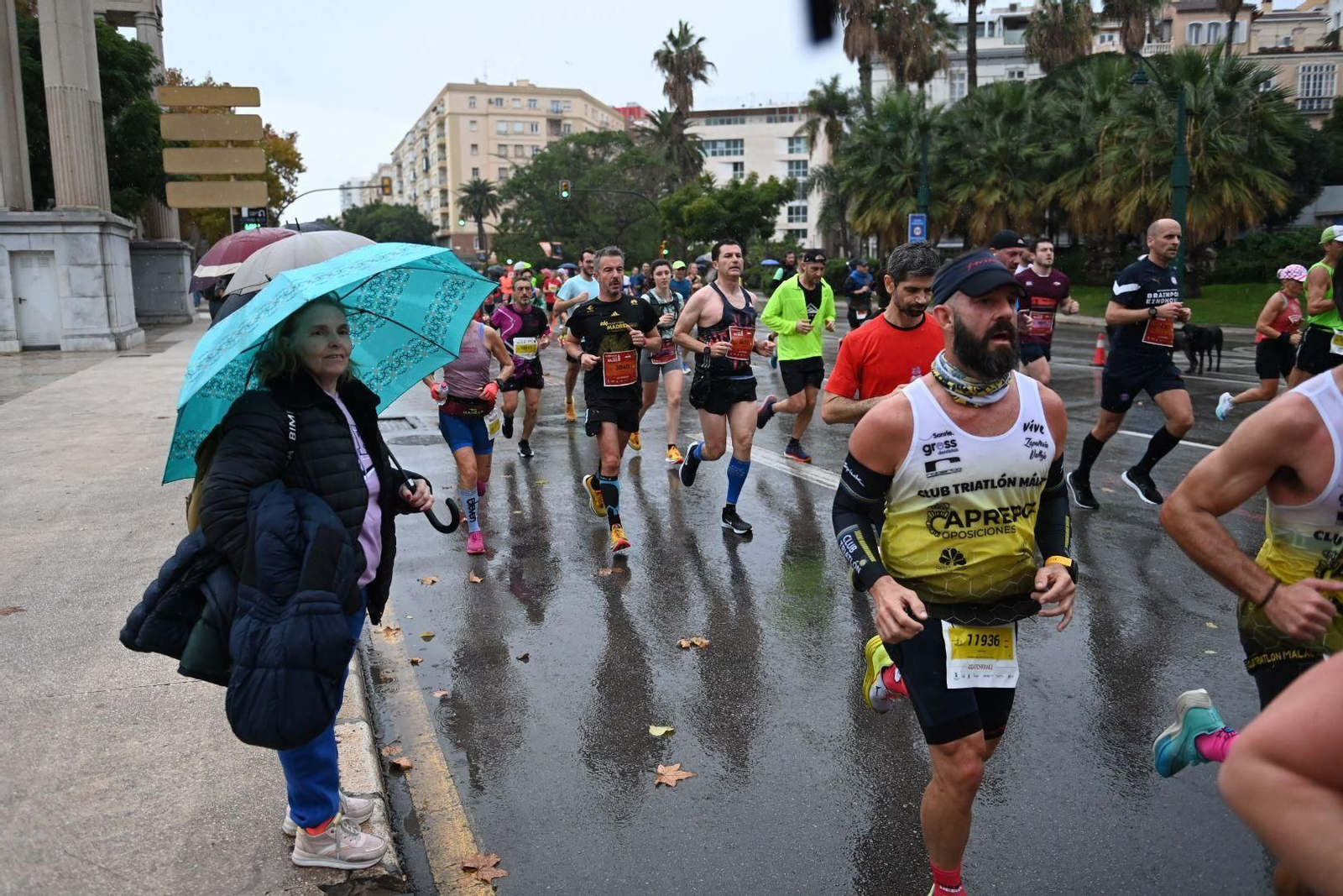 La Maratón de Málaga 2022, en fotos